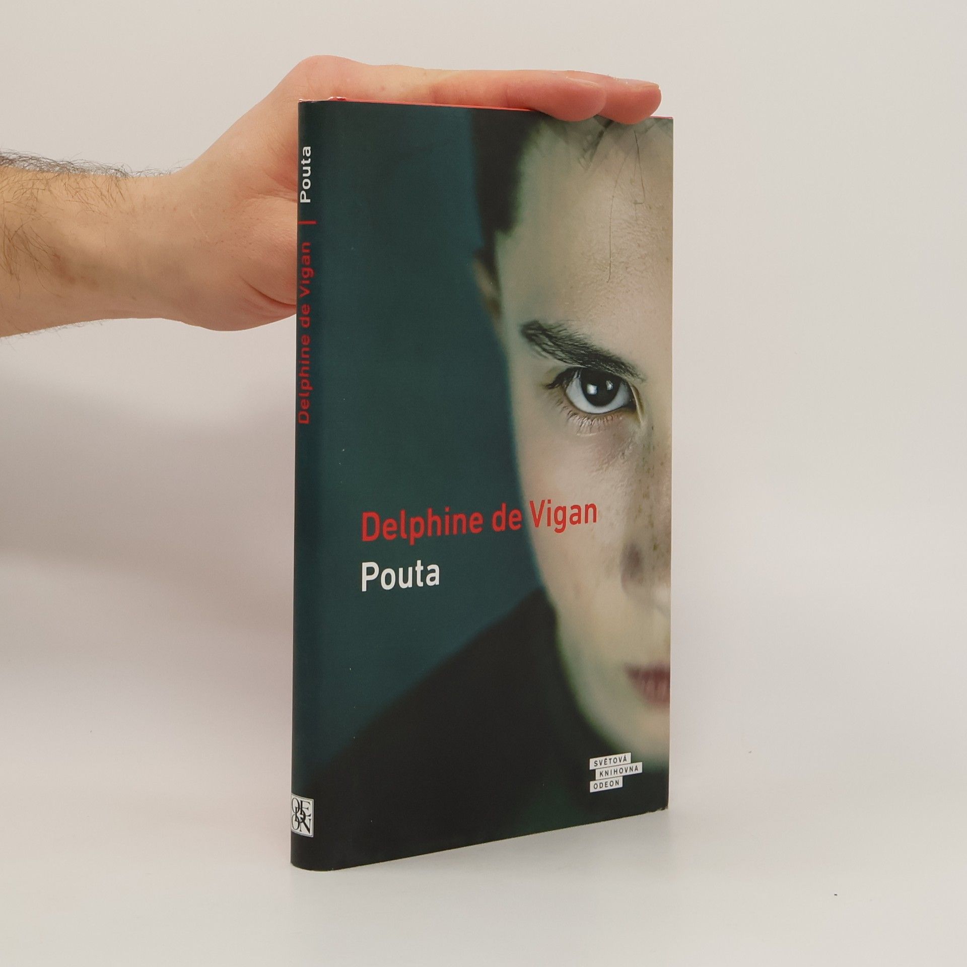 Delphine de Vigan Pouta