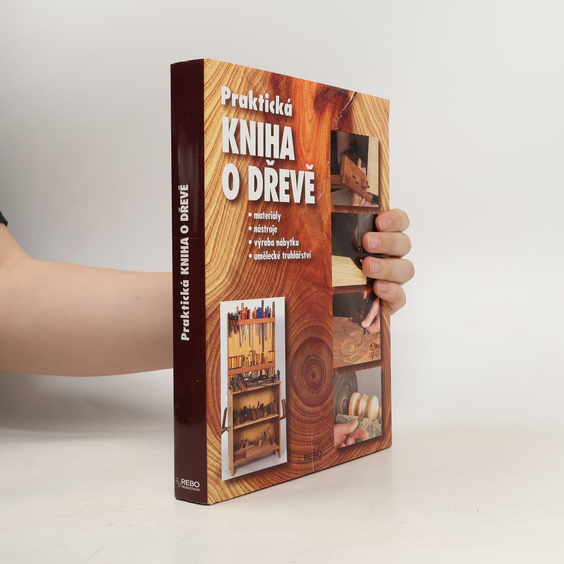 Jordi Vigué-Martín Praktická kniha o dřevě : [materiály, nástroje, výroba nábytku, umělecké truhlářství