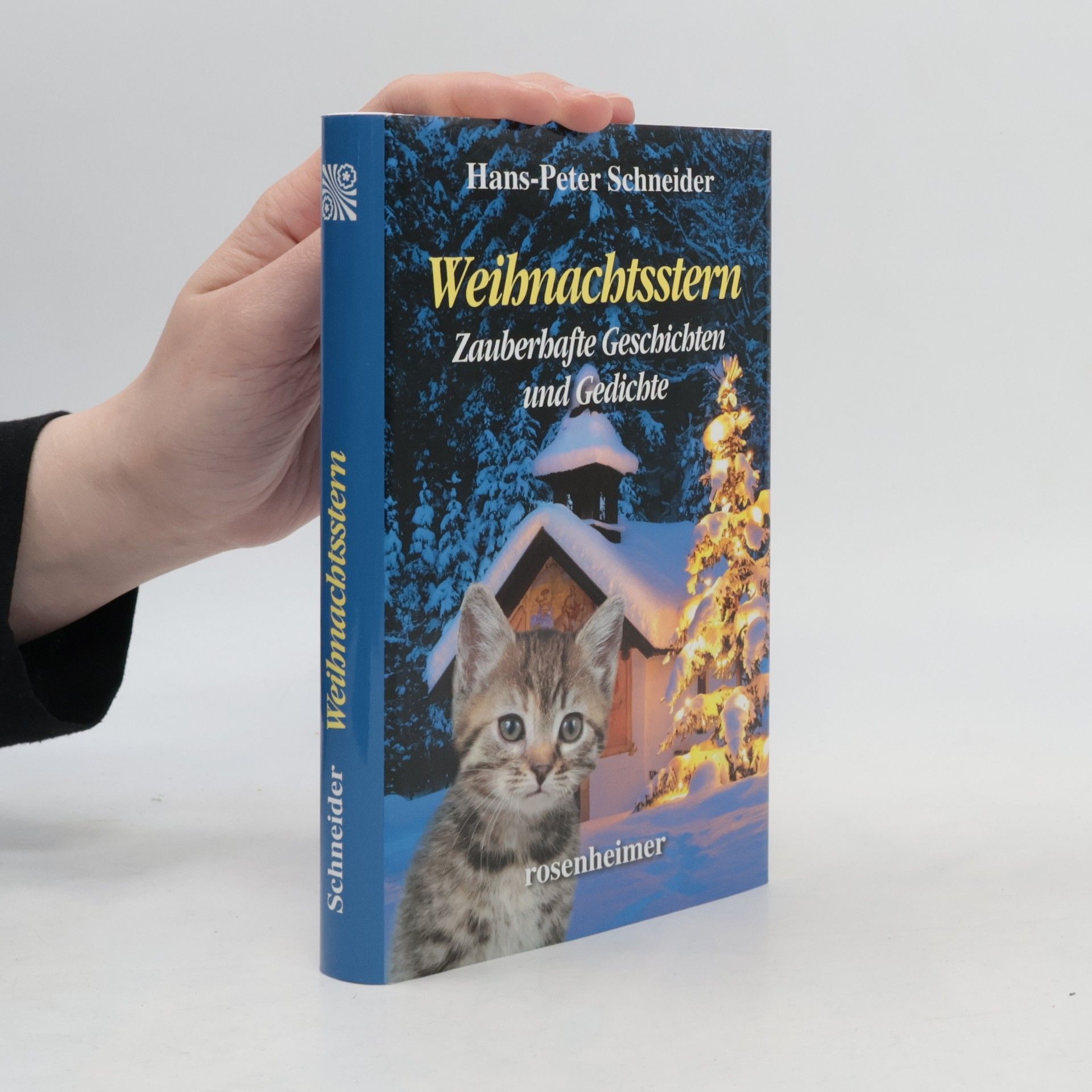 Hans Peter Schneider Weihnachtsstern