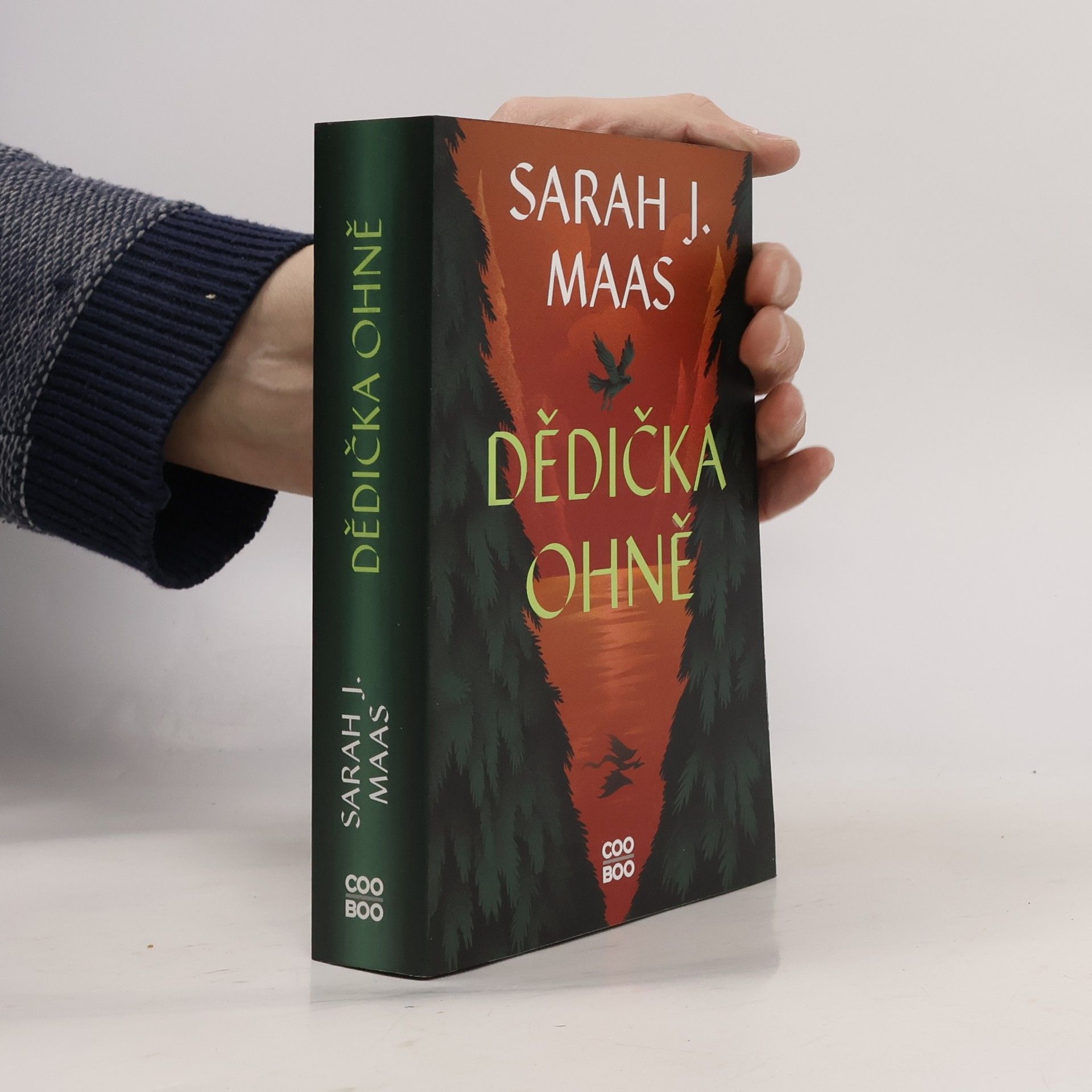 Sarah J. Maas Dědička ohně