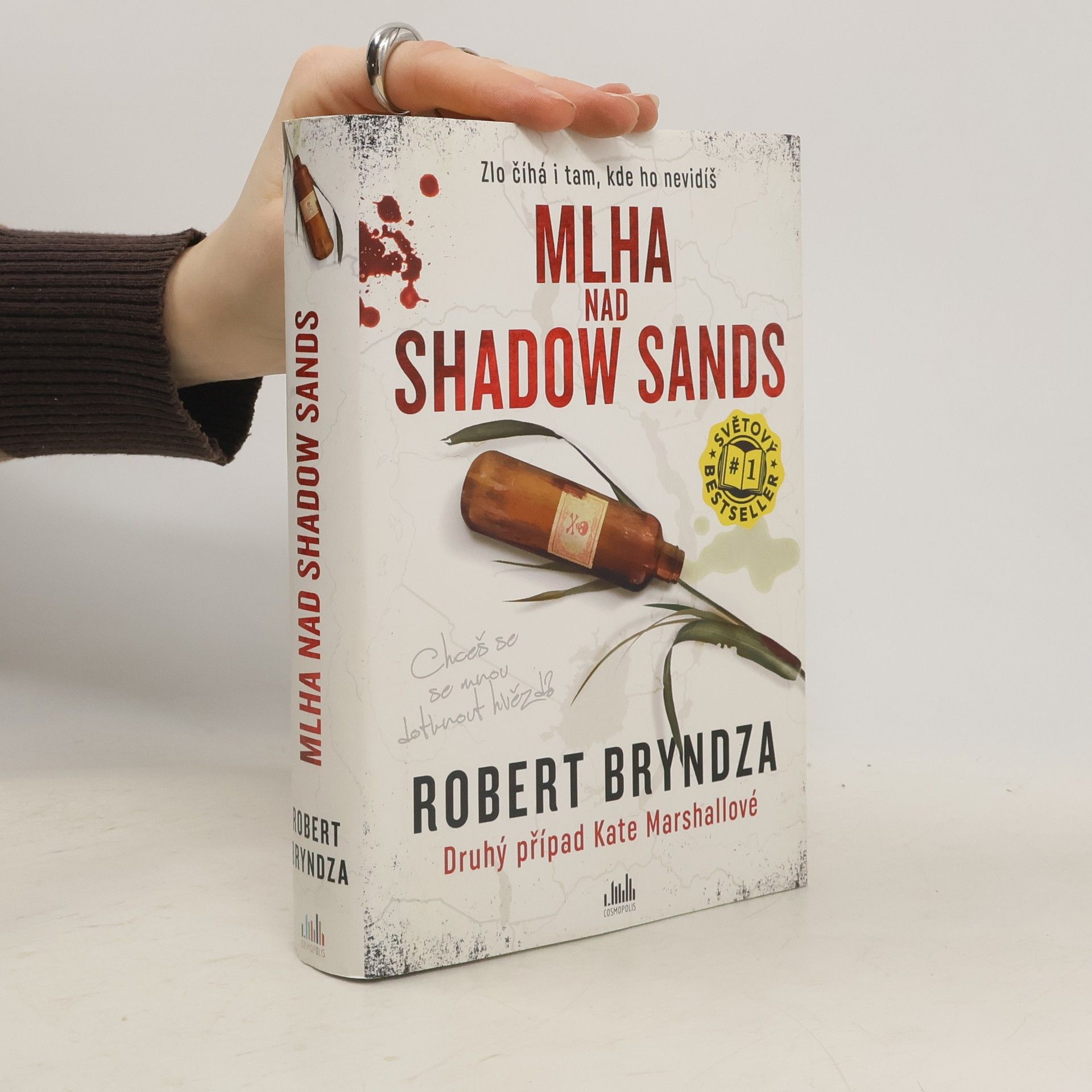 Robert Bryndza Mlha nad Shadow Sands