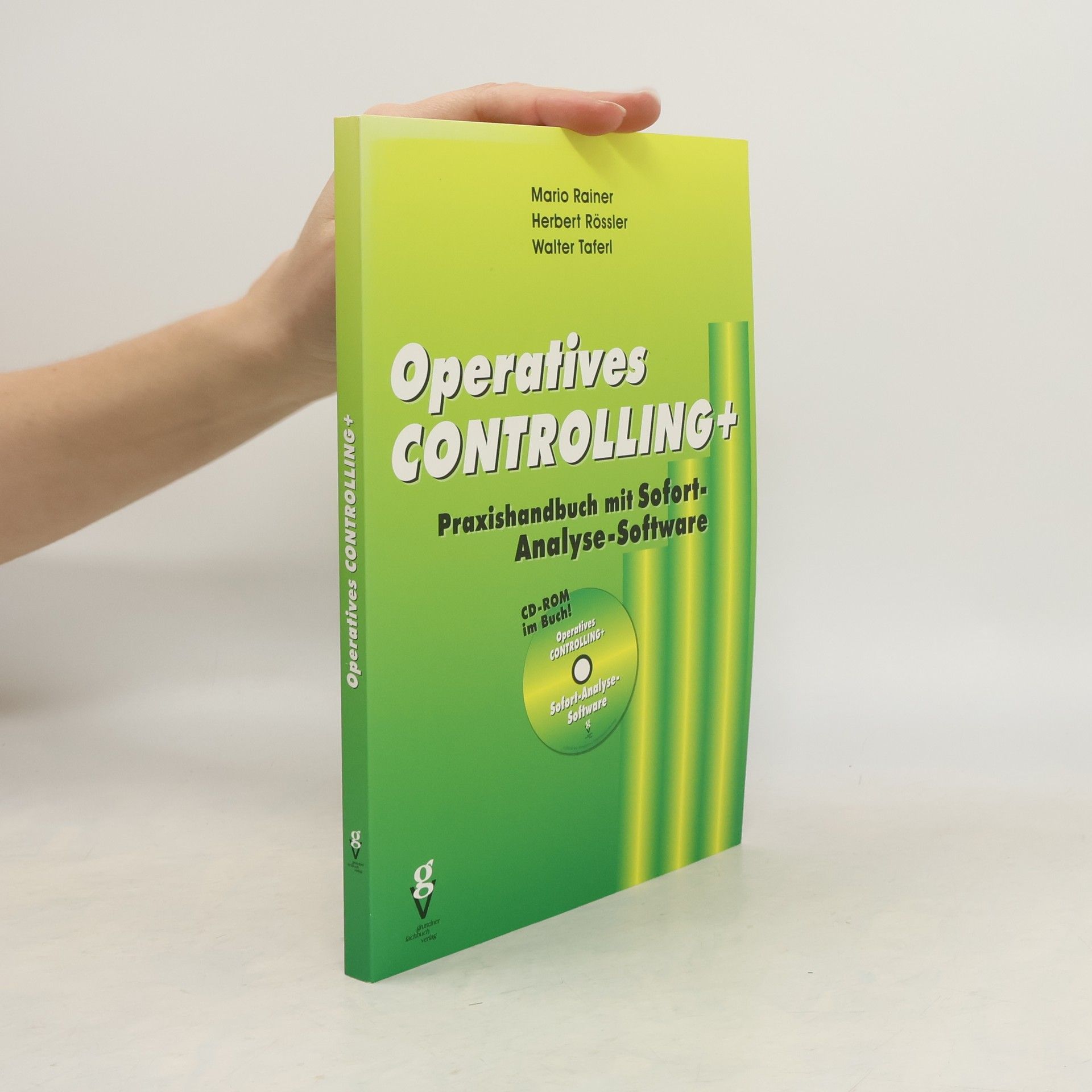 Mario Rainer Lepsius Operatives Controlling