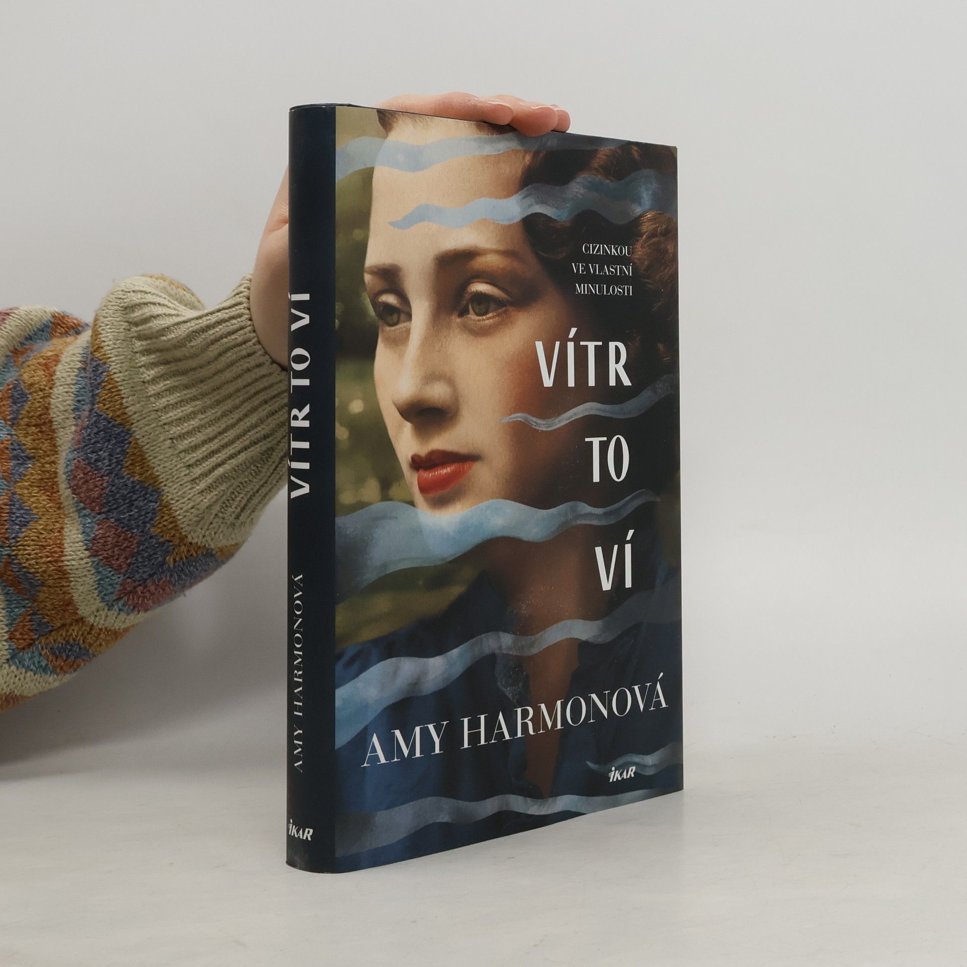 Amy Harmon Vítr to ví