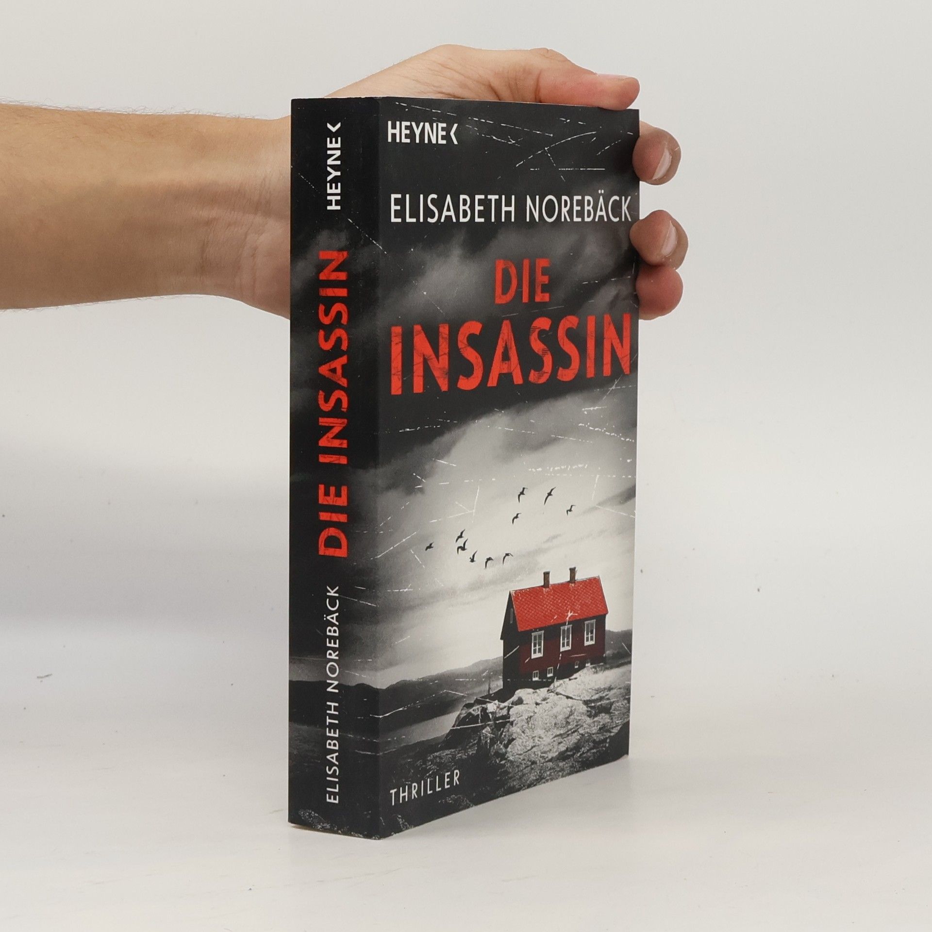 Elisabeth Norebäck Die Insassin