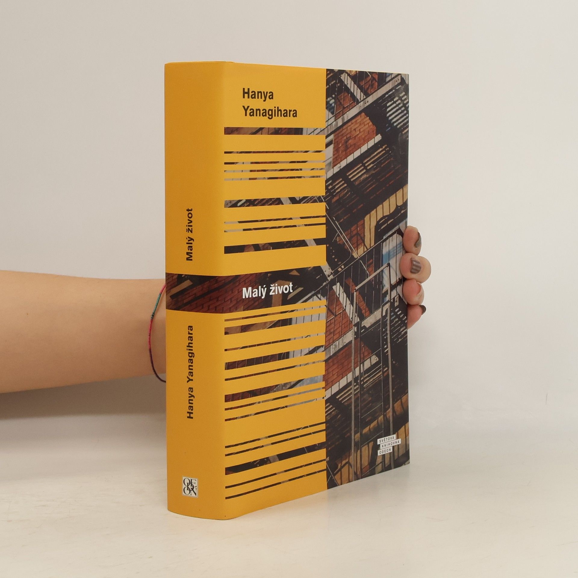 Hanya Yanagihara Malý život
