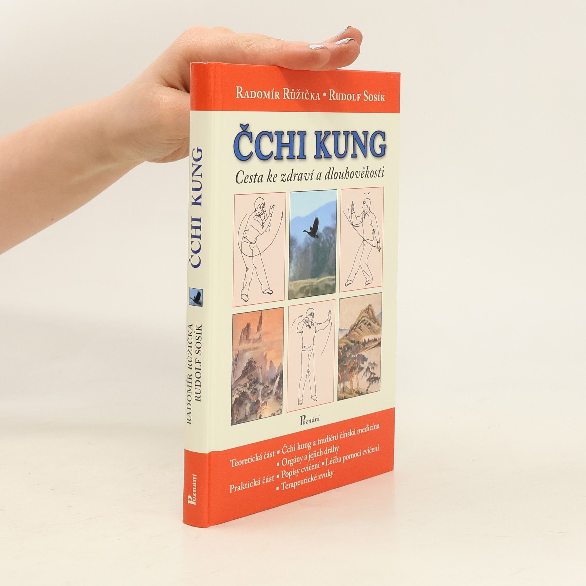 Radomír Růžička Čchi kung. Cesta ke zdraví a dlouhověkosti