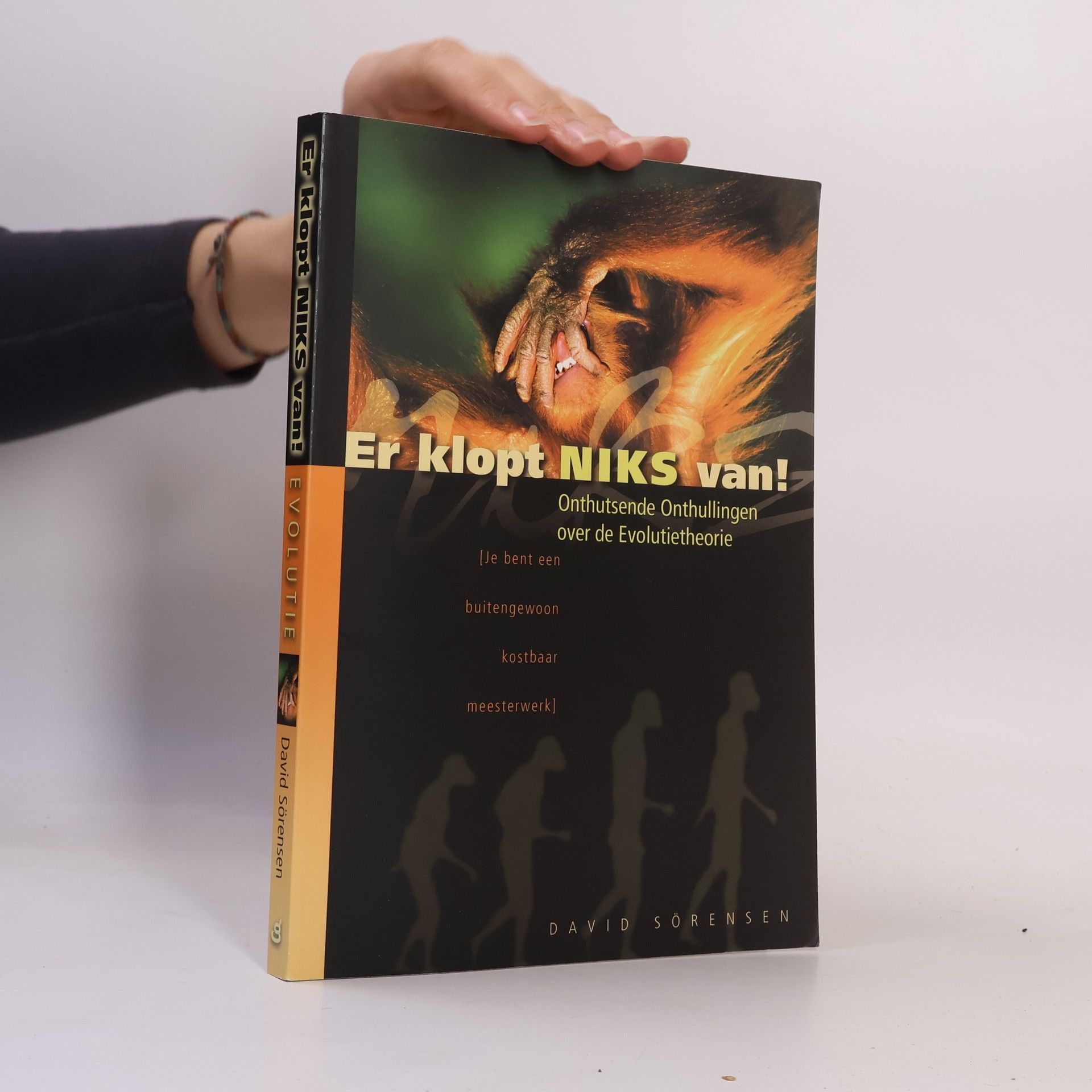 David Sörensen Er klopt niks van!