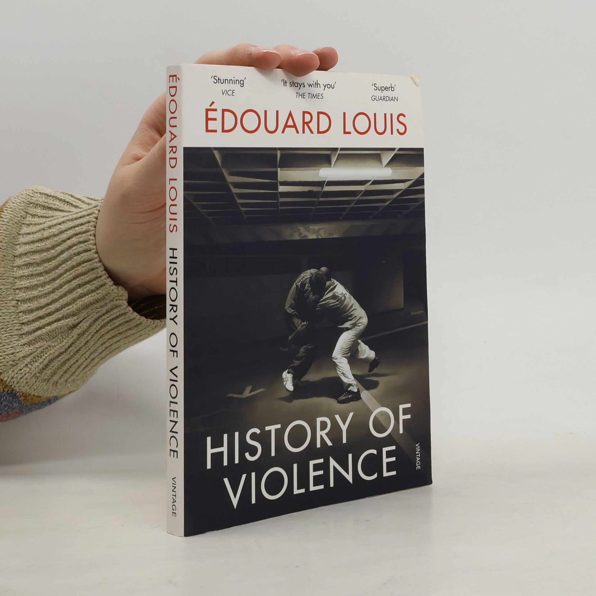 Édouard Louis History of Violence