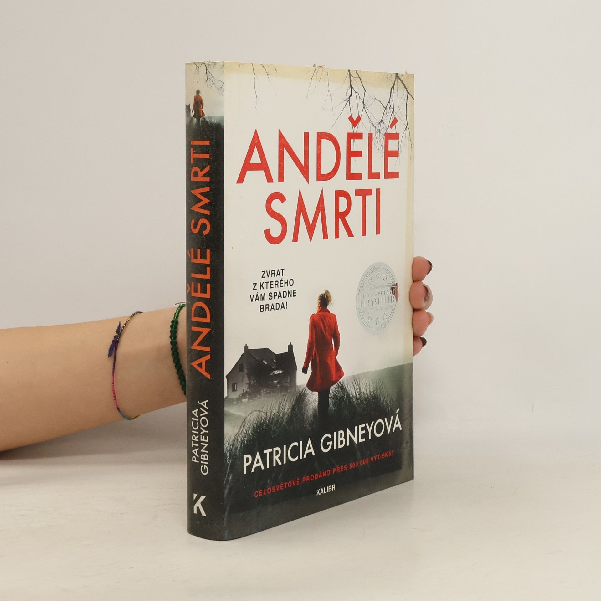 Patricia Gibney Andělé smrti