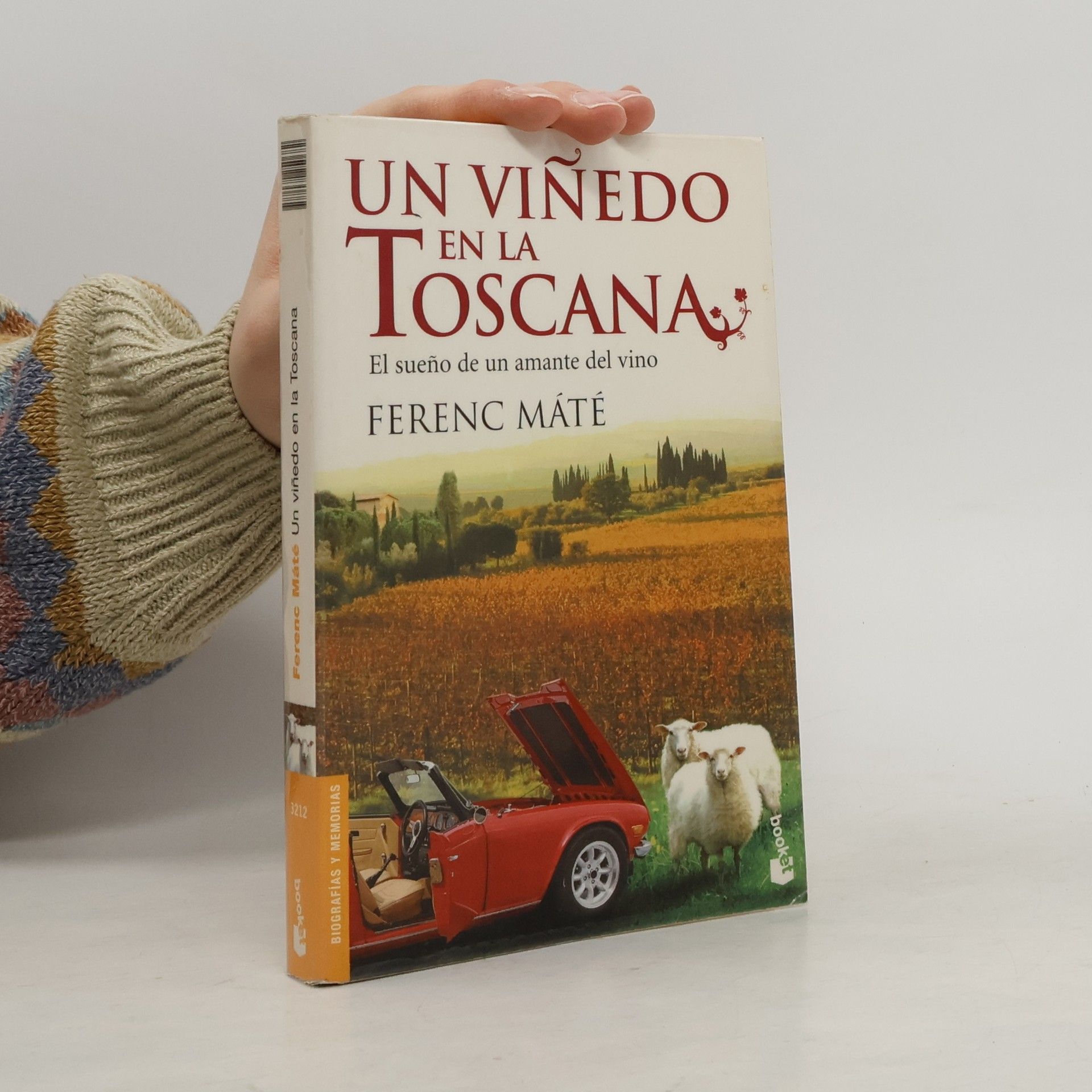Ferenc Máté Un viñedo en la Toscana
