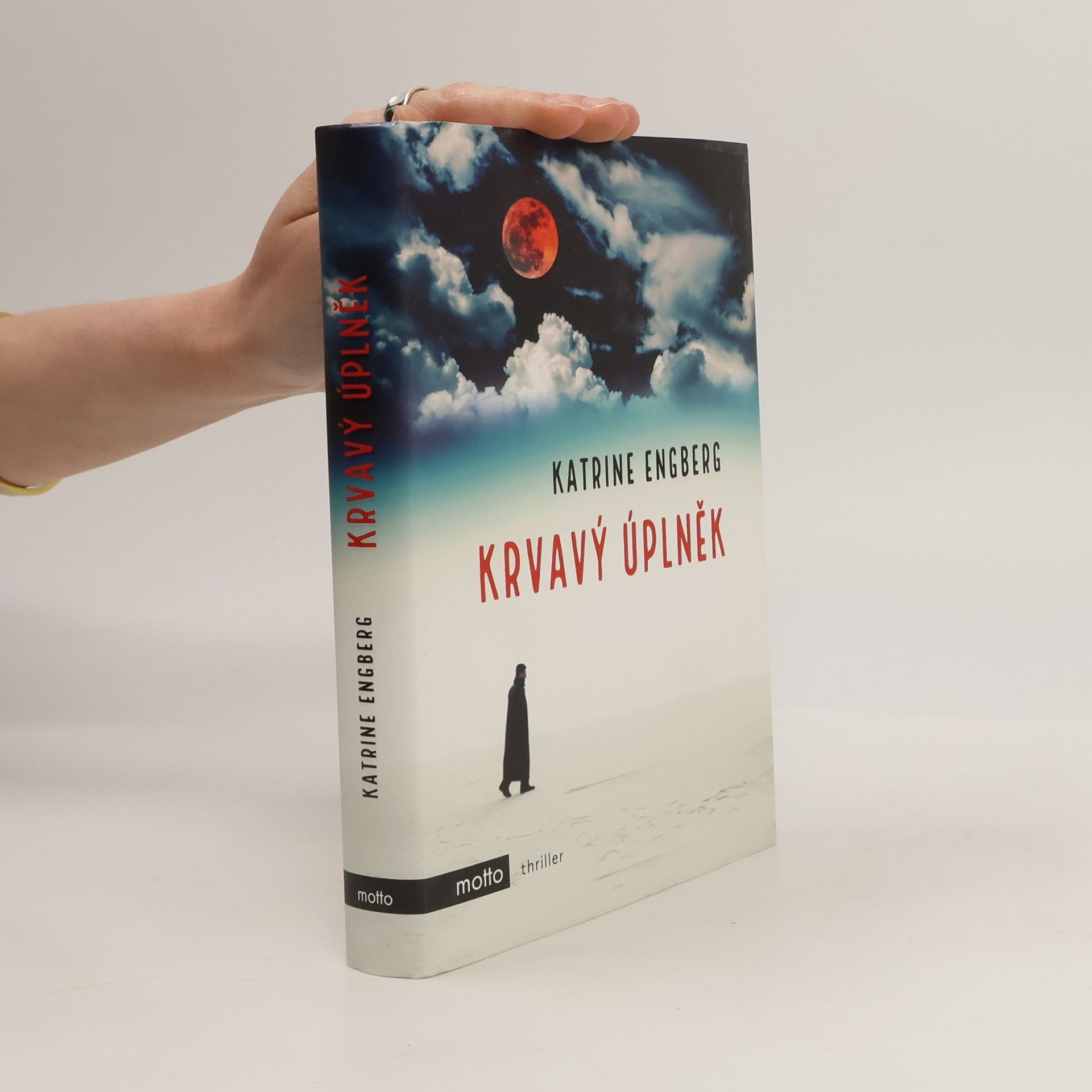 Katrine Engberg Krvavý úplněk