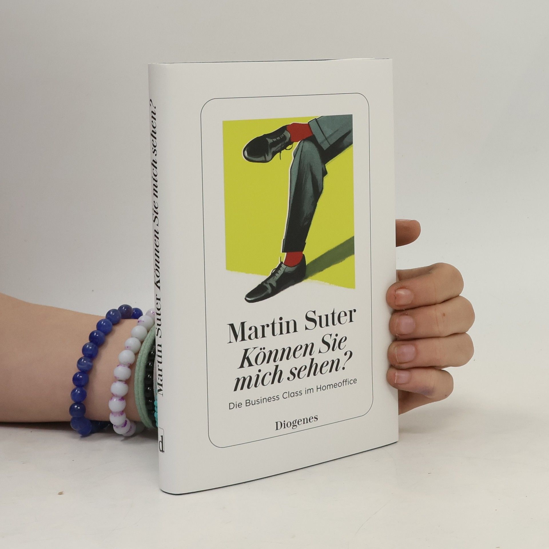 Martin Suter Können Sie mich sehen?