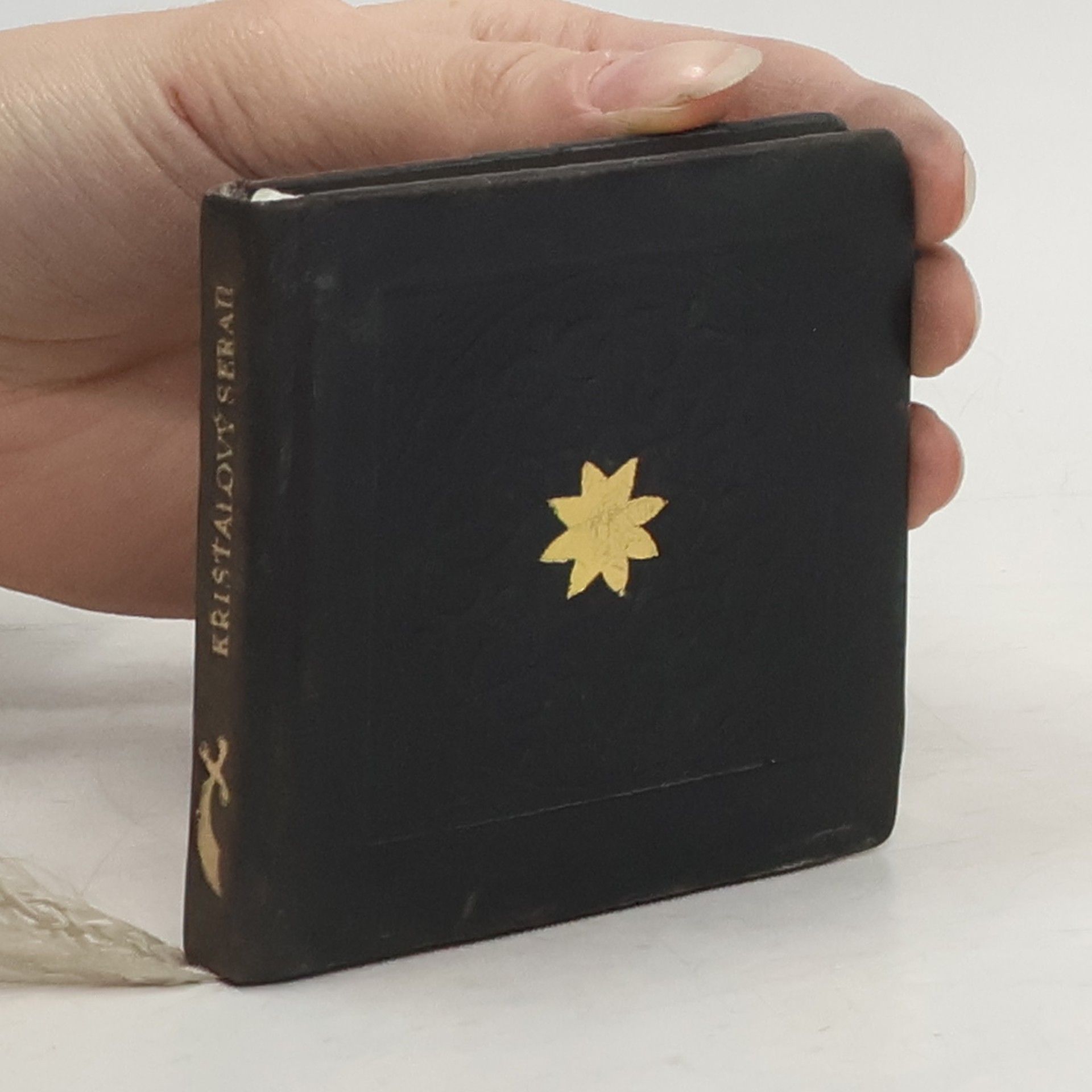 Elsa Sophia Kamphoevener Křišťálový serail