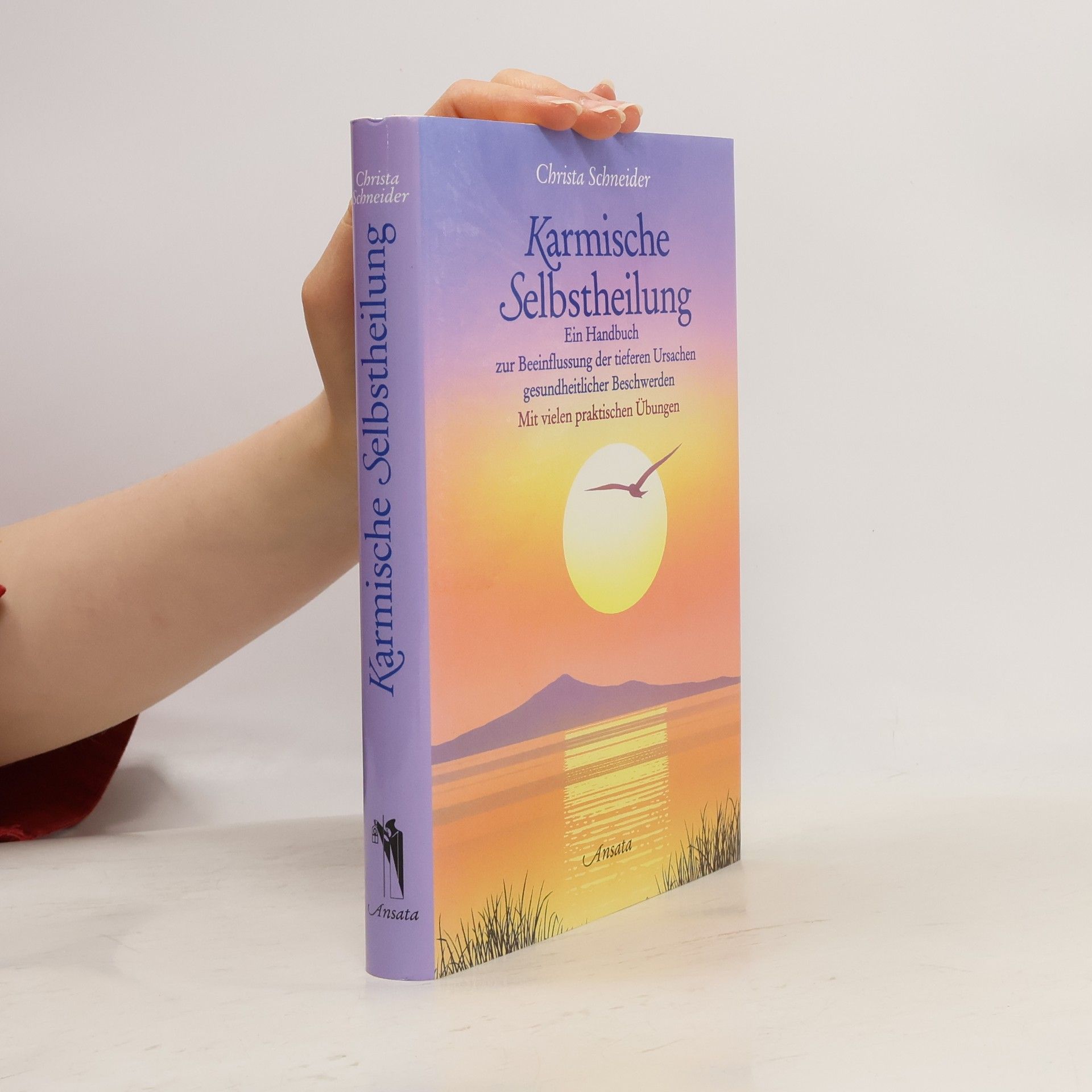 Christa Schneider Karmische Selbstheilung