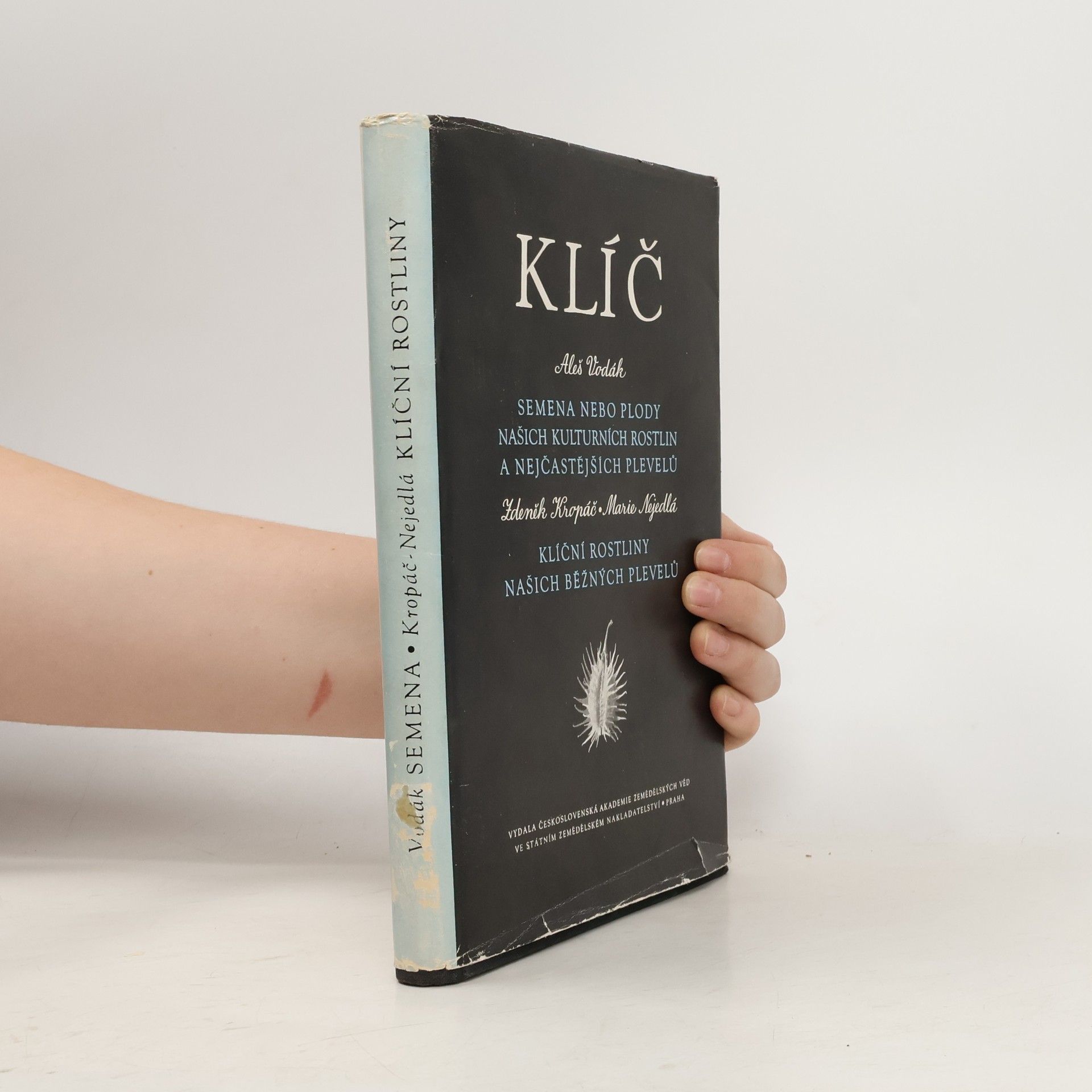 Zdeněk Kropáč Semena nebo plody našich kulturních rostlin a nejčastějších plevelů. Klíční rostliny našich běžných plevelů