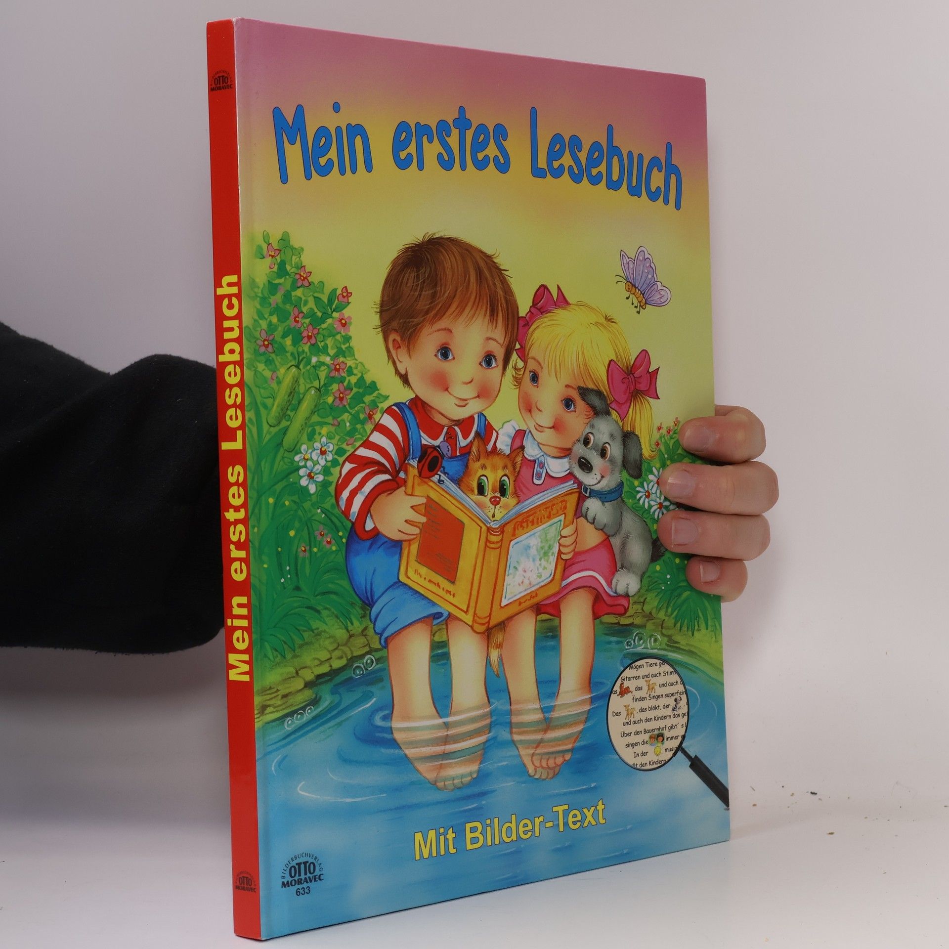 Kolektiv autorů Mein erstes Lesebuch: Mit Bilder-Text