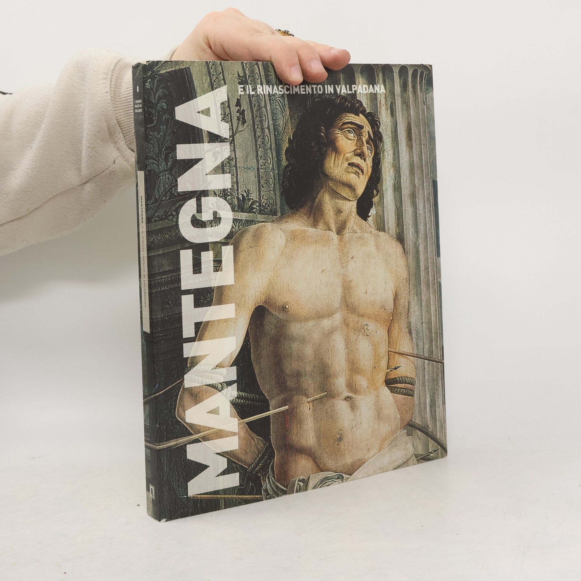 Simone Facchinetti Mantegna e il Rinascimento in Valpadana