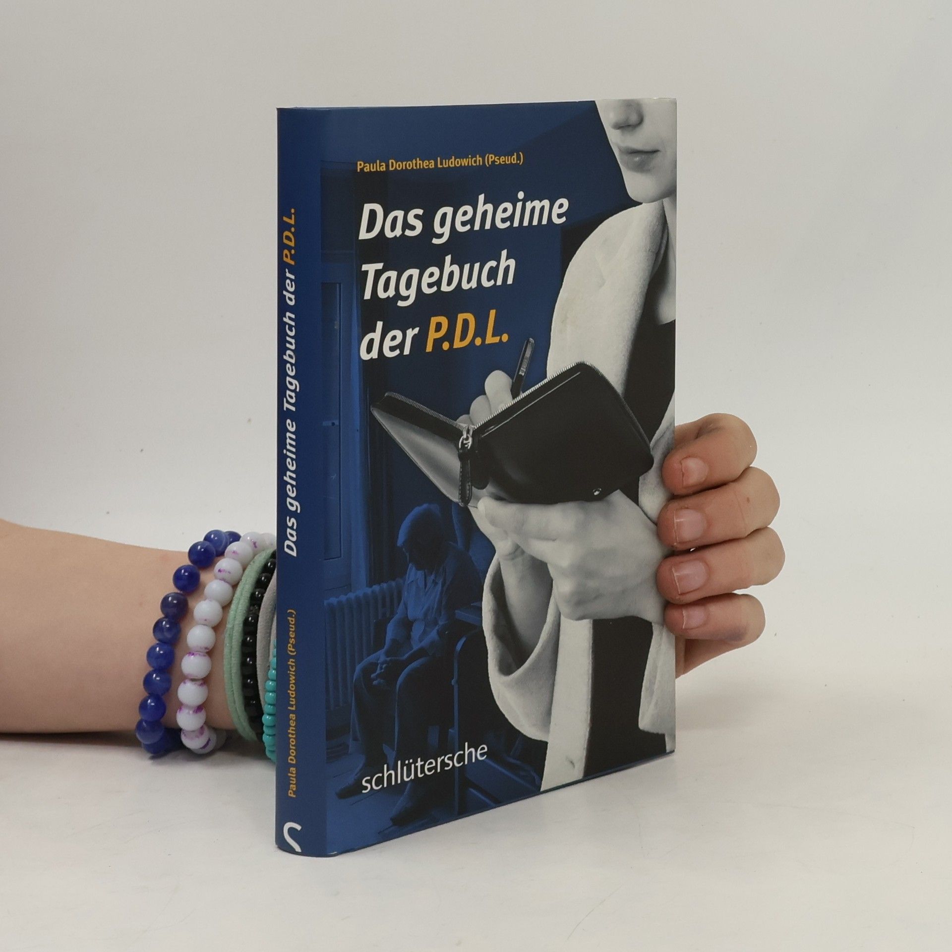 Paula Dorothea Ludowich Das geheime Tagebuch der P.D.L.