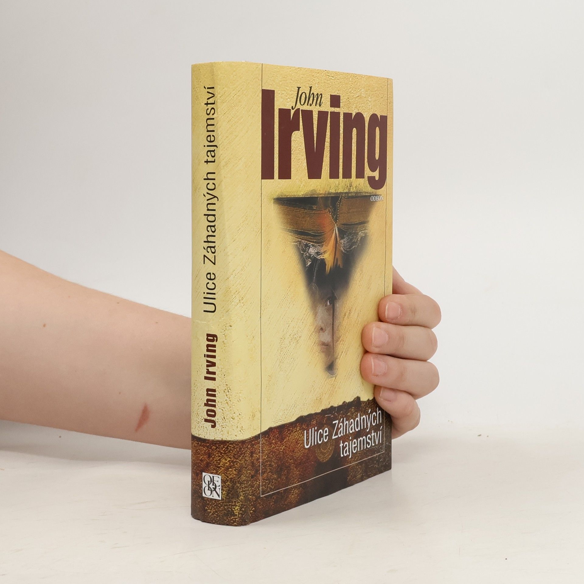 John Irving Ulice Záhadných tajemství