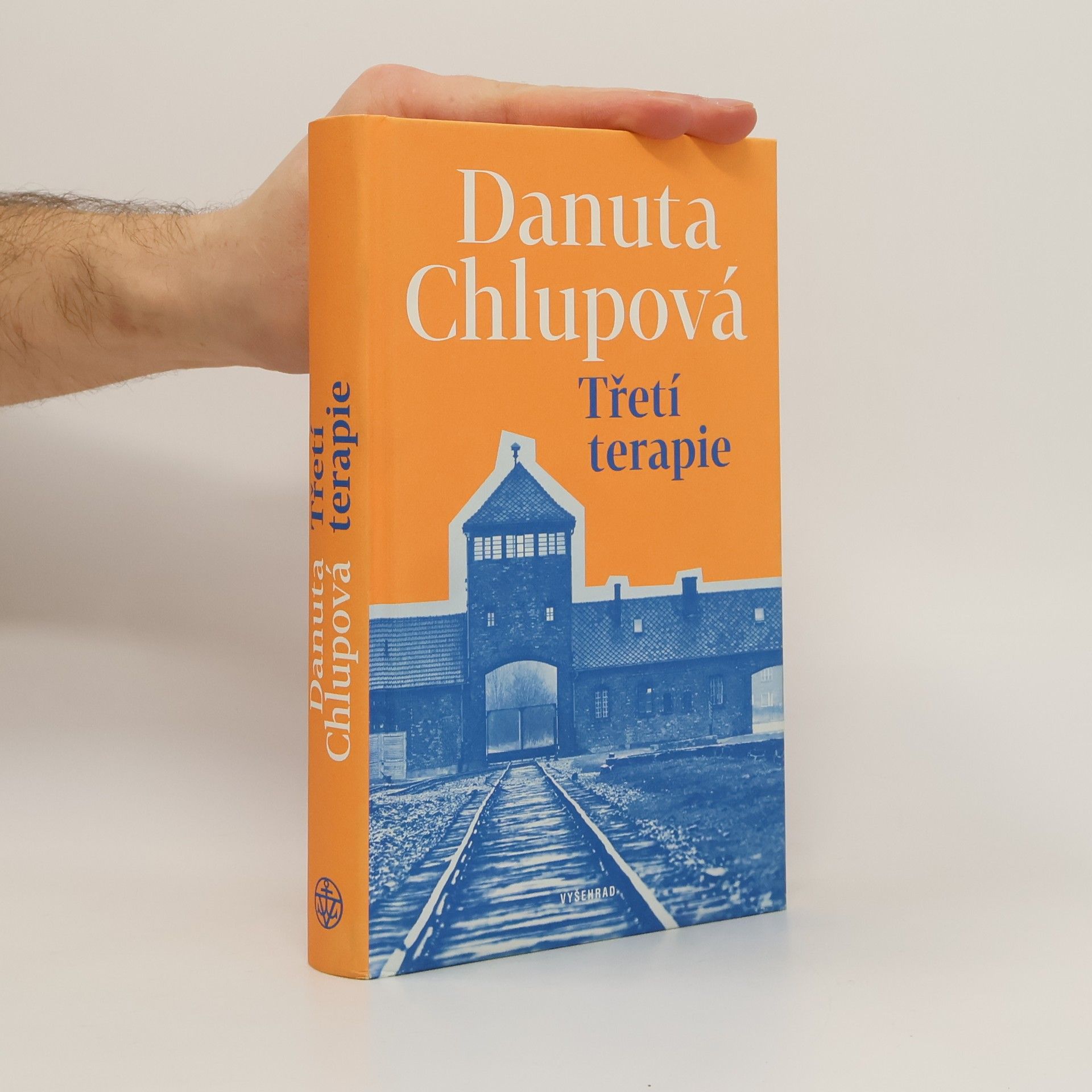 Danuta Chlupowa Třetí terapie