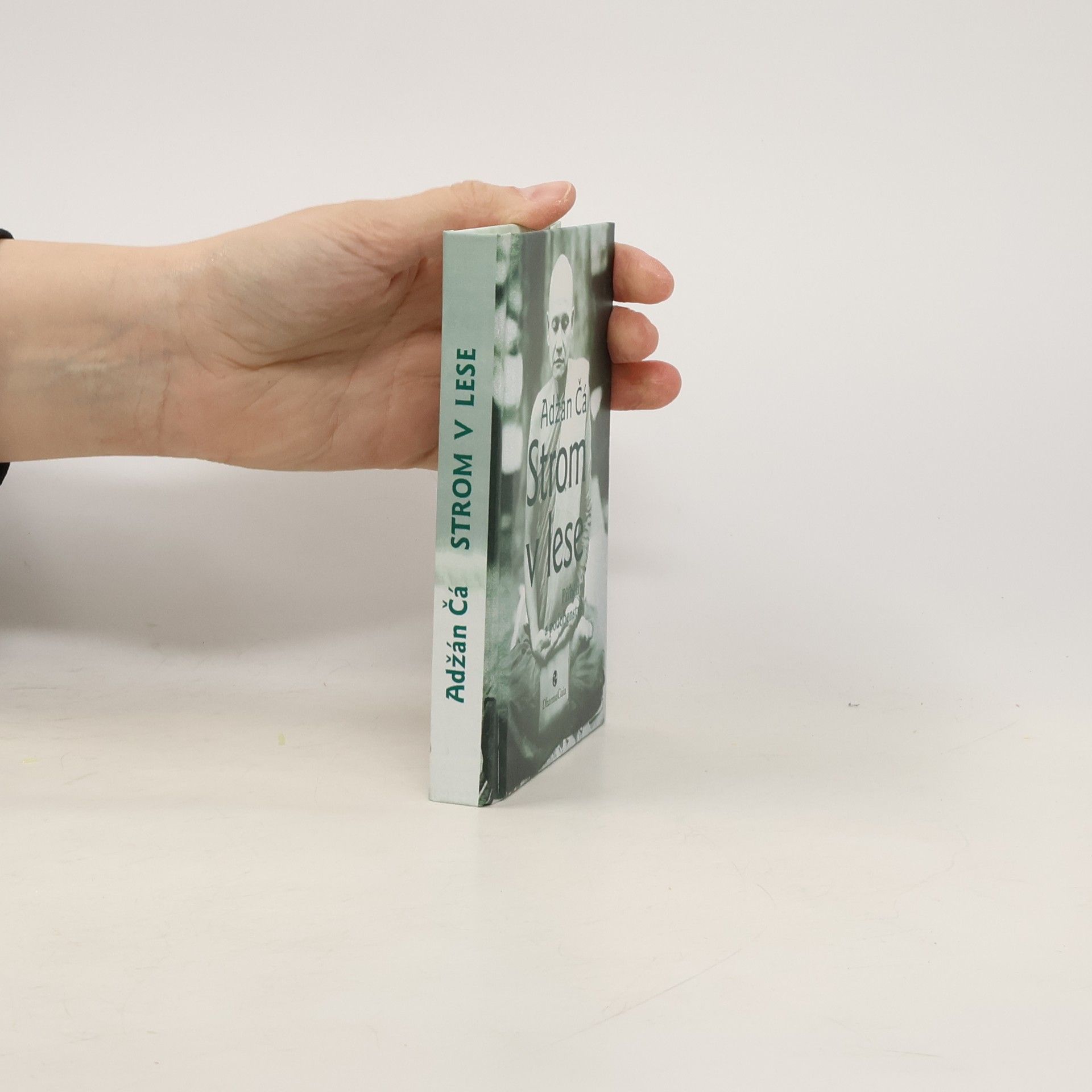 Jiří Černega Strom v lese : příběhy a podobenství