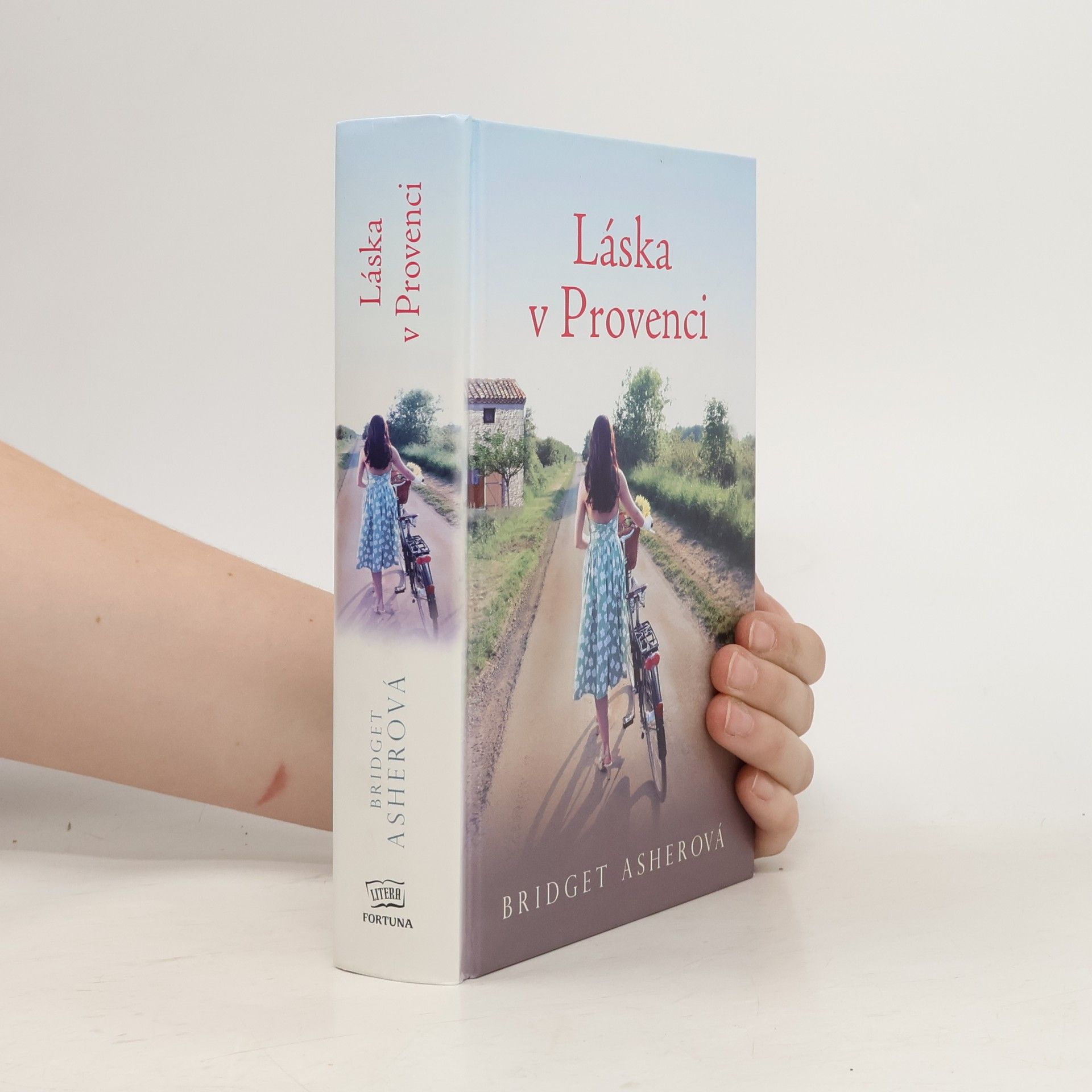 Bridget Asher Láska v Provenci