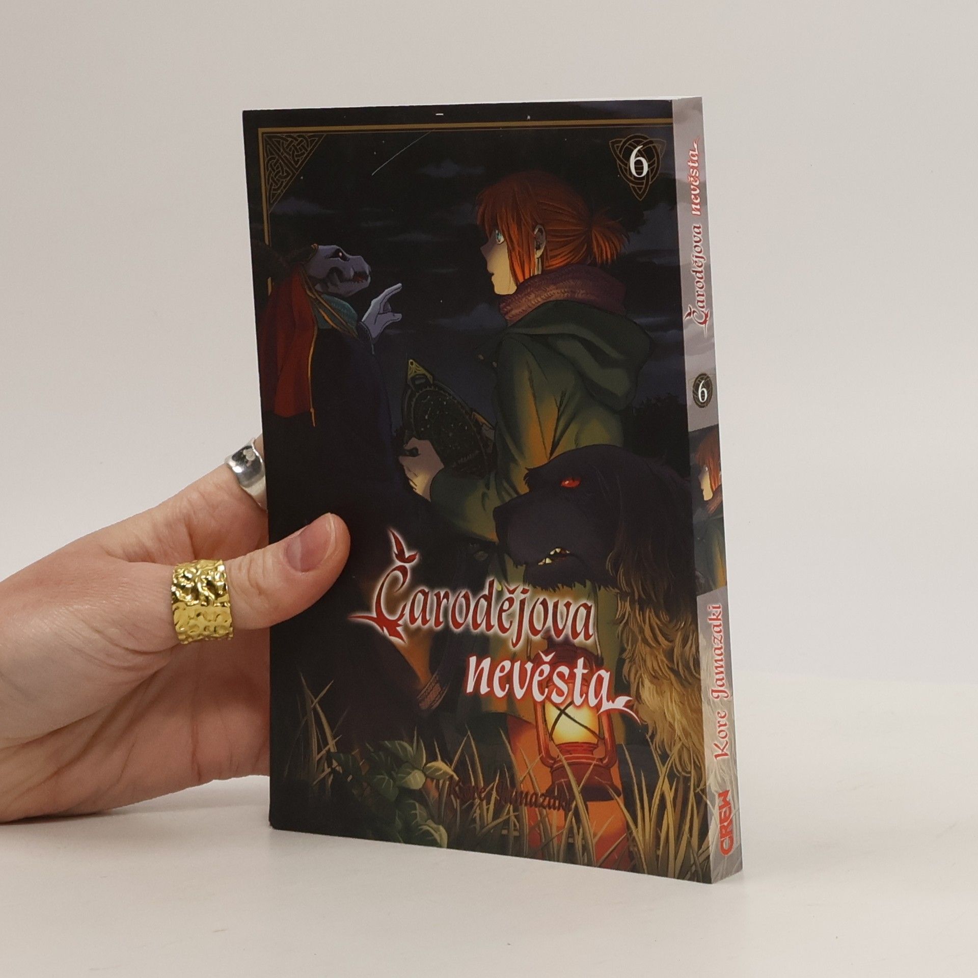 Čarodějova nevěsta 6