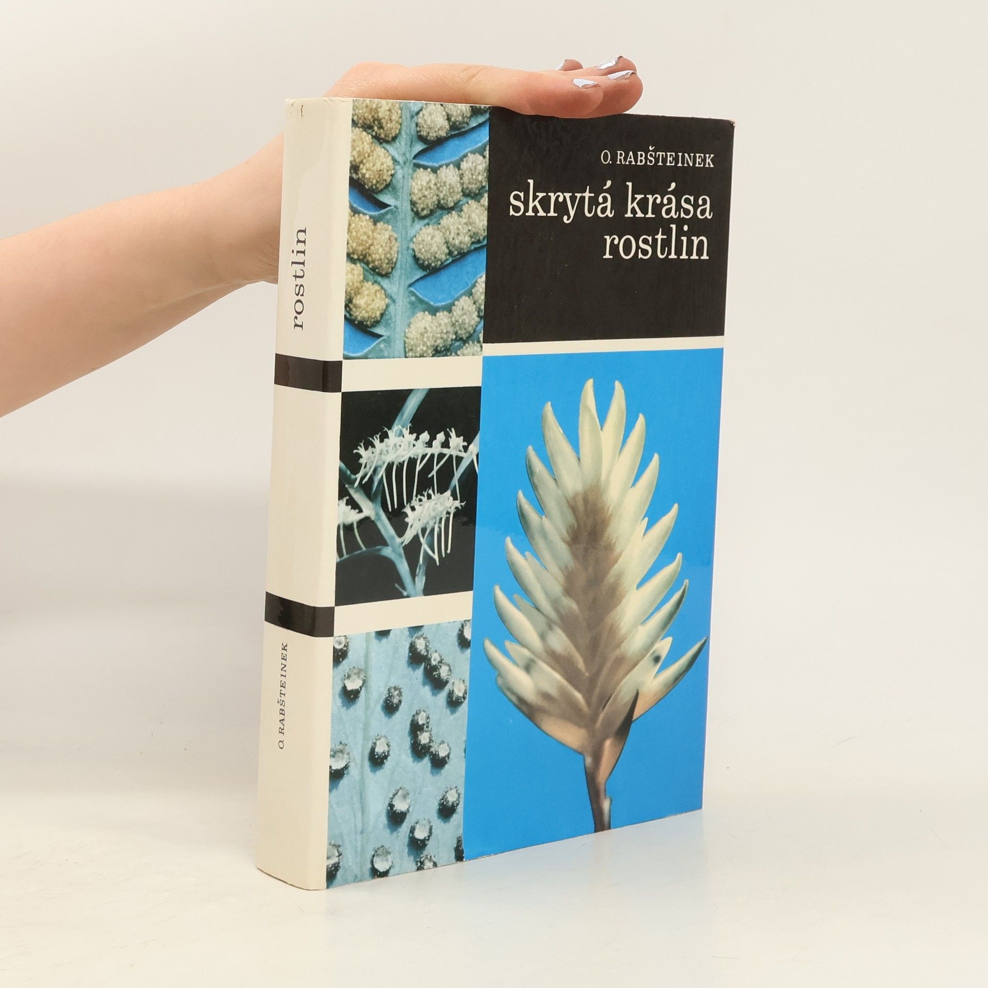 Skrytá krása rostlin