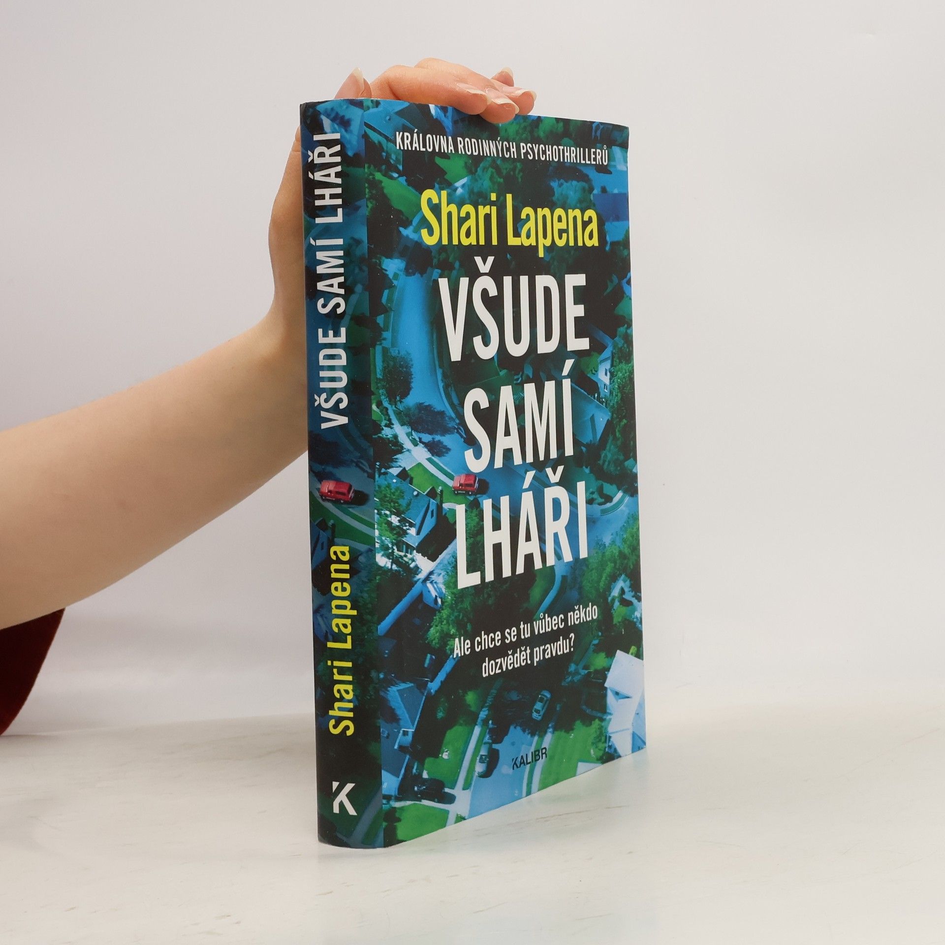 Shari Lapena Všude samí lháři