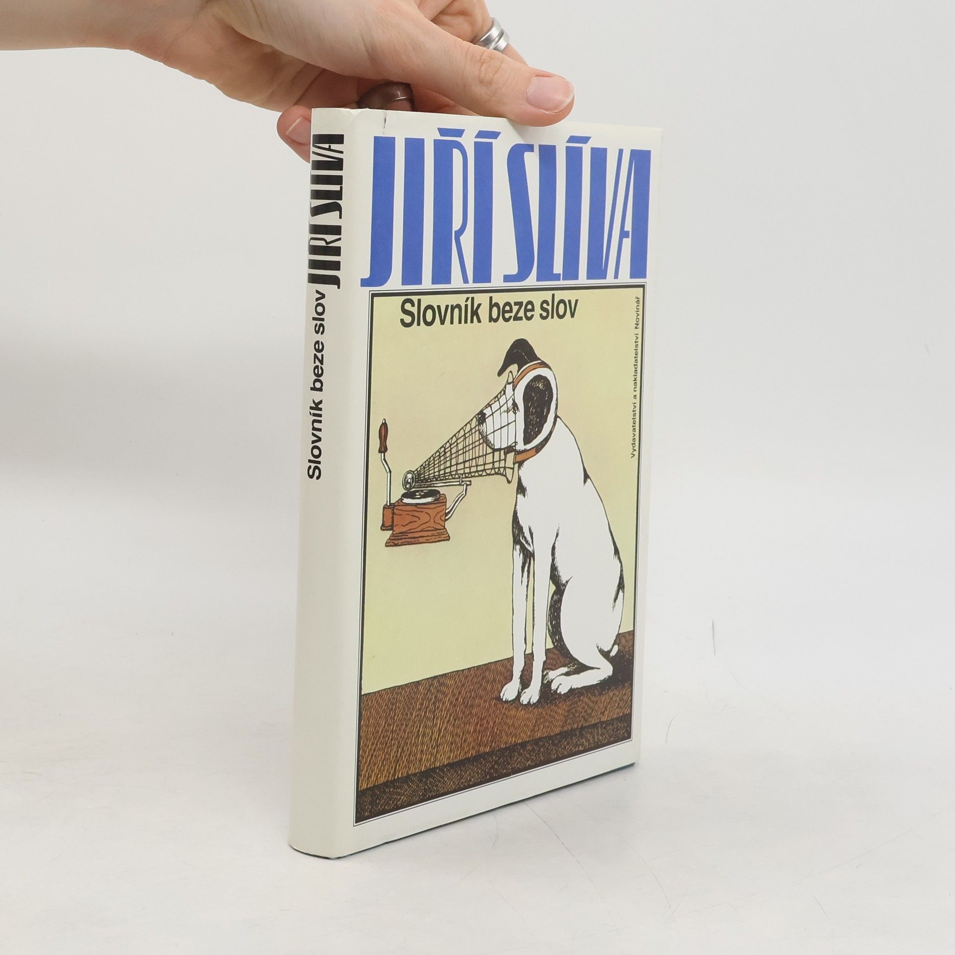 Slovník beze slov