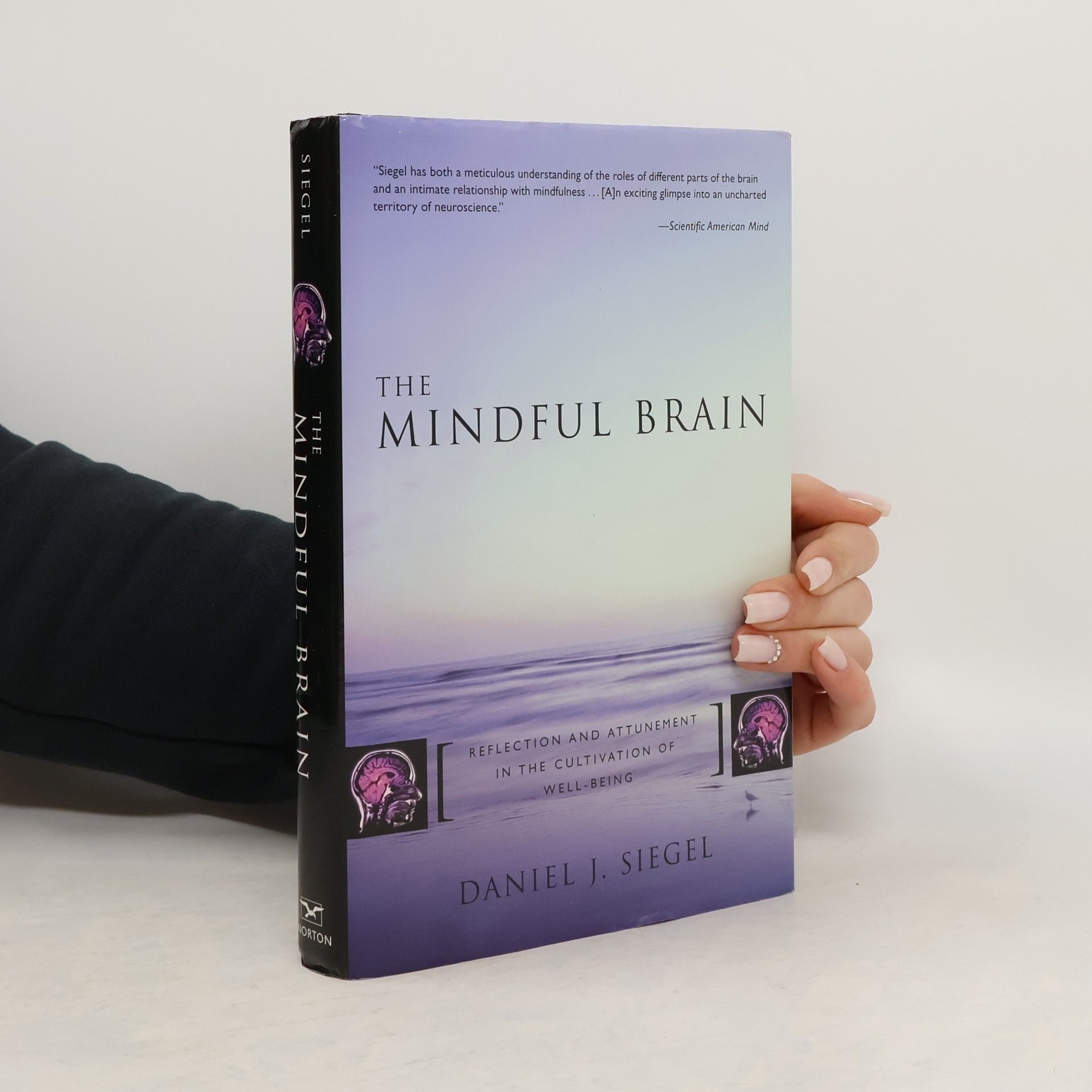 Daniel J. Siegel The Mindful Brain