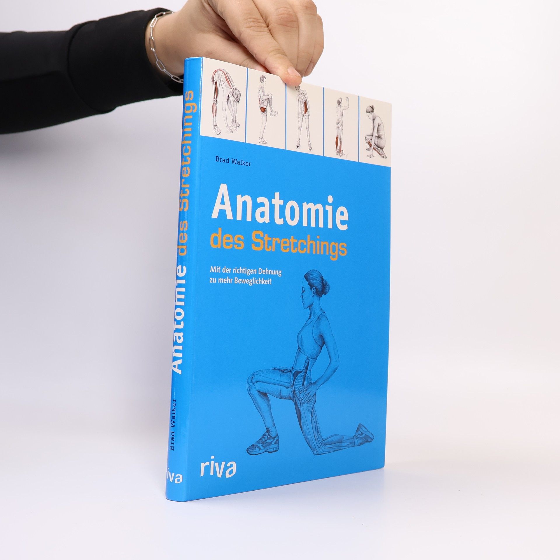 Brad Walker Anatomie des Stretchings