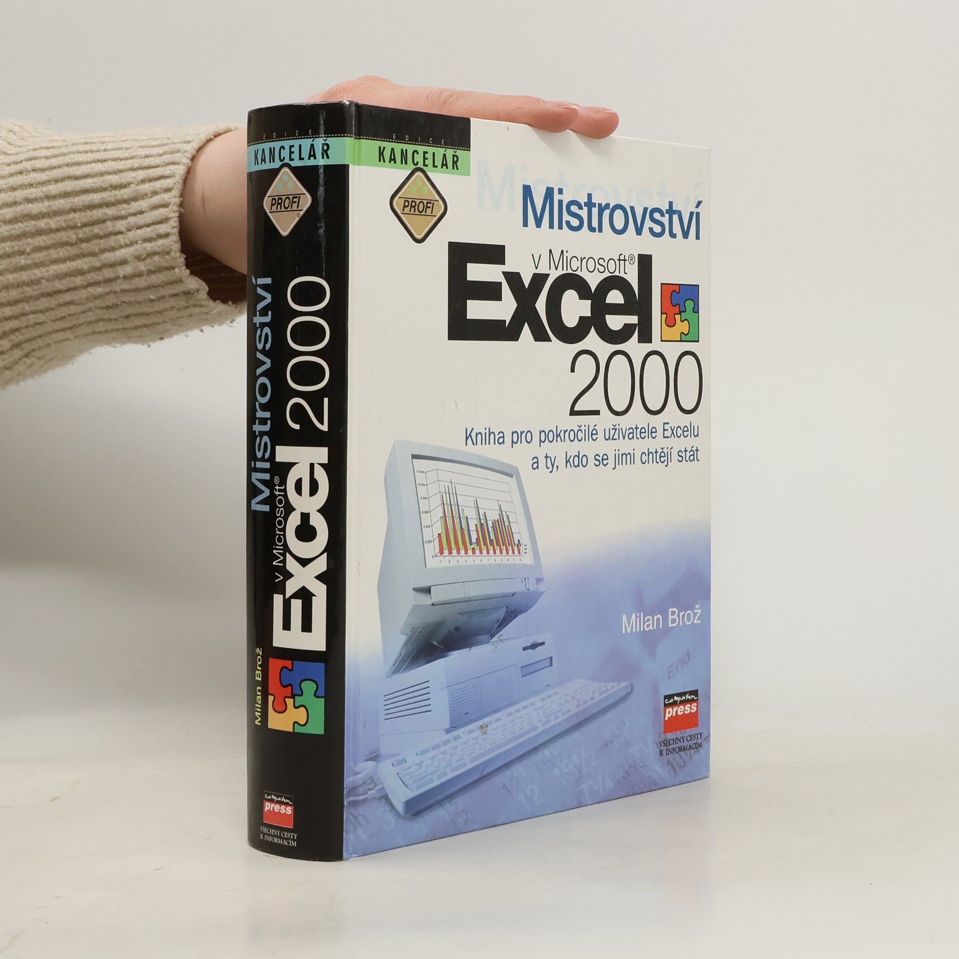 Brož Milan Mistrovství v Microsoft Excel 2000