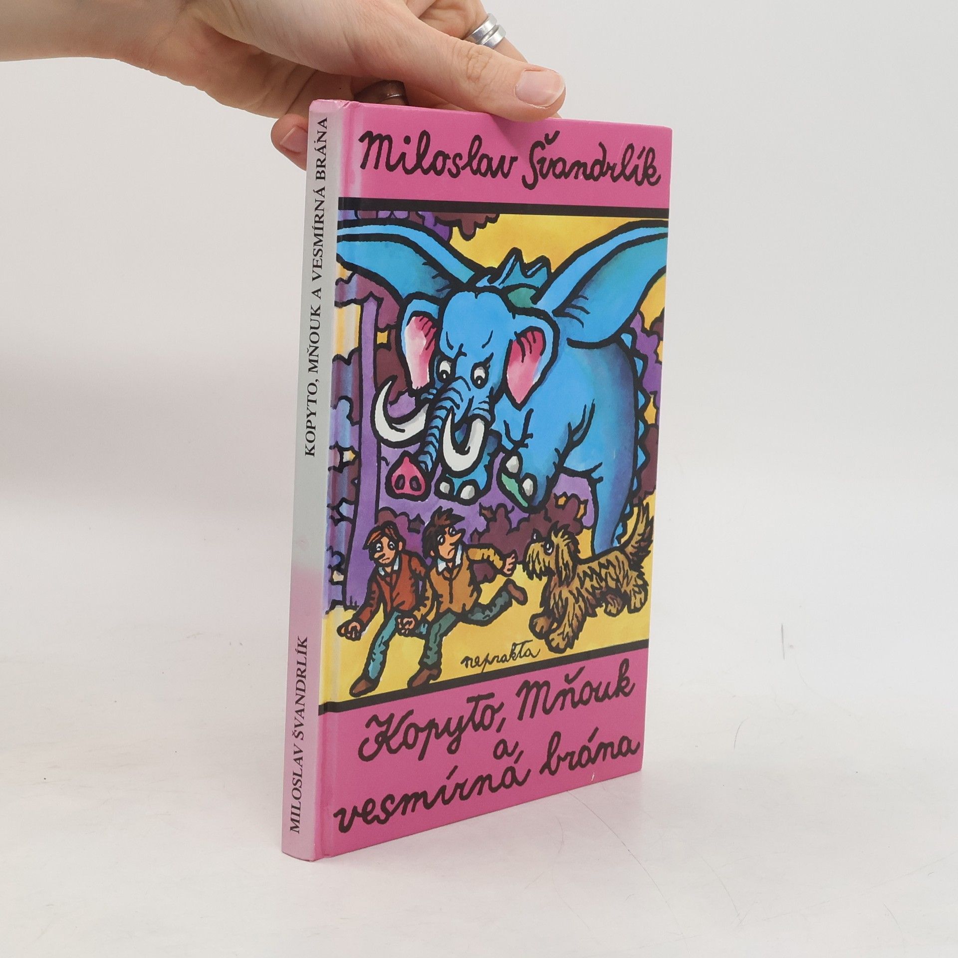 Miloslav Švandrlík Kopyto, Mňouk a vesmírná brána