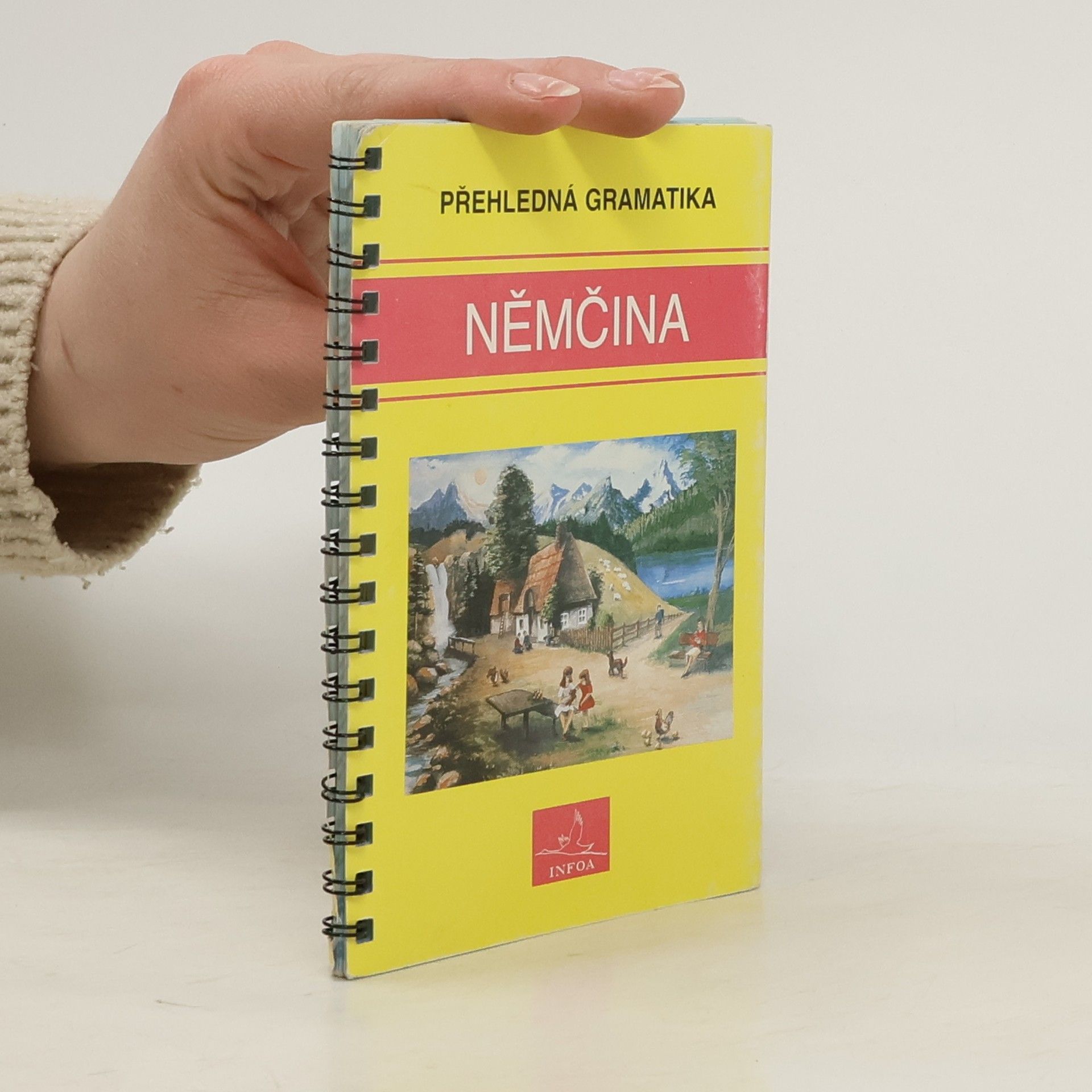 Němčina. Přehledná gramatika