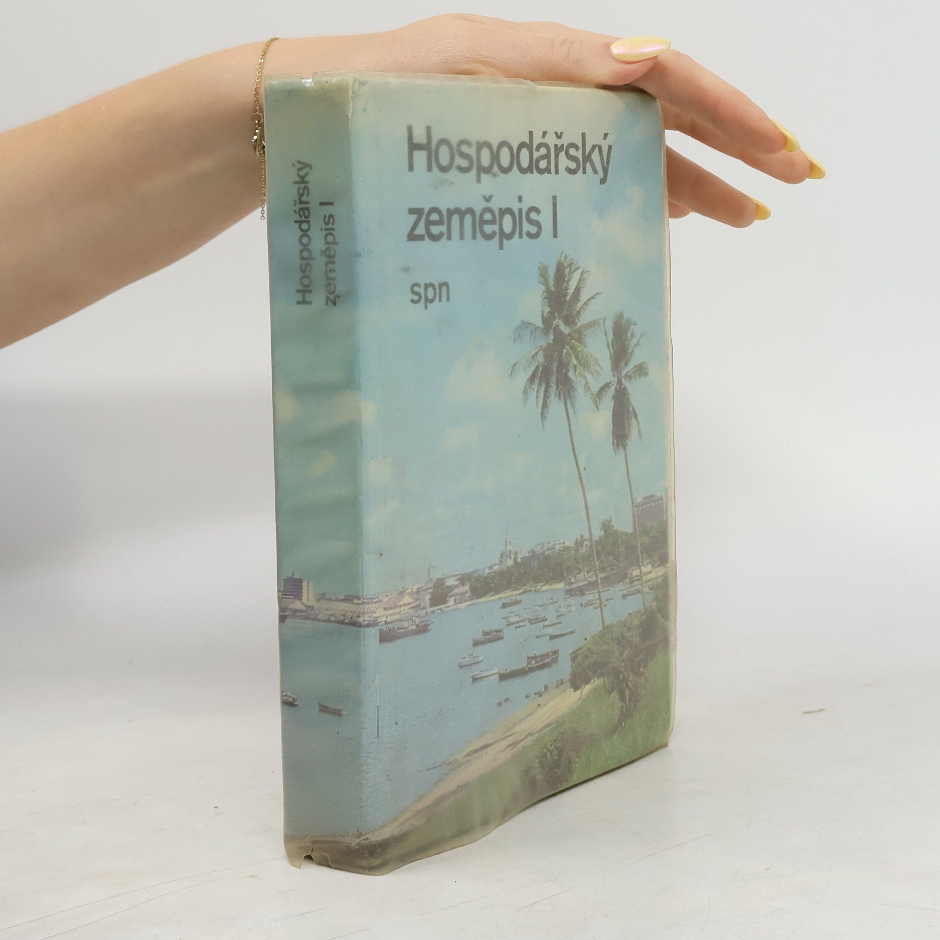 Miroslav Střída Hospodářský zeměpis I