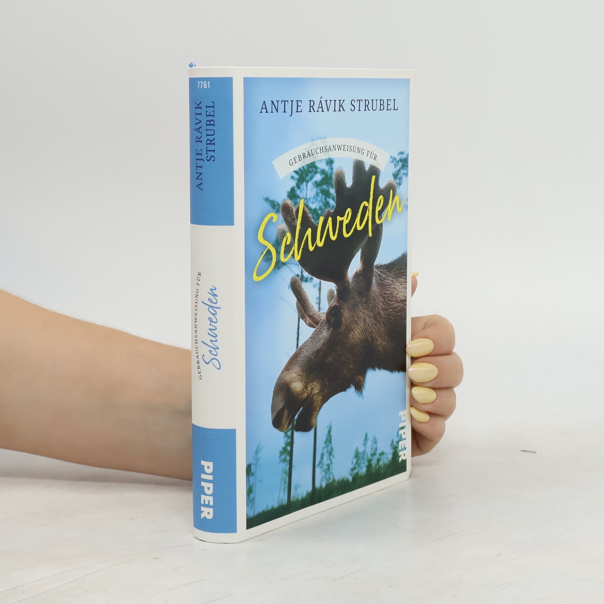 Antje Rávik Strubel Gebrauchsanweisung für Schweden