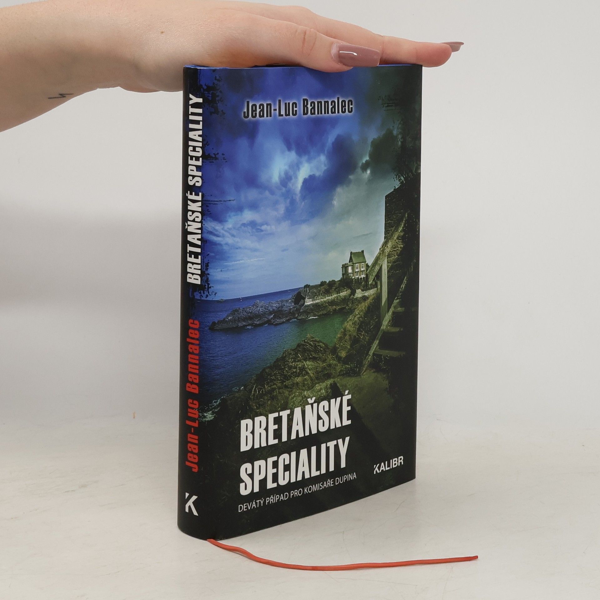 Jörg Bong Bretaňské speciality : devátý případ pro komisaře Dupina