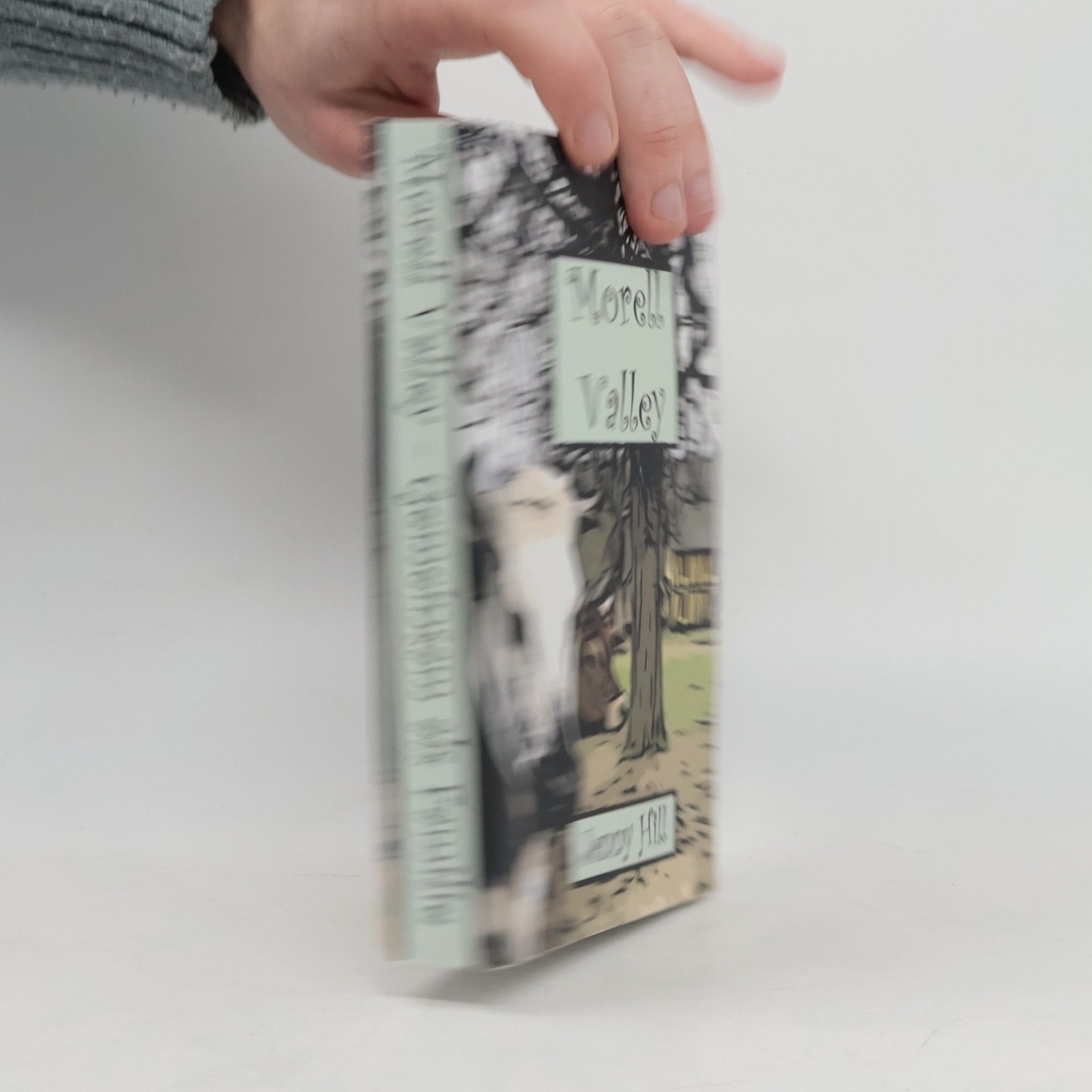 Jenny Hill Morell Valley