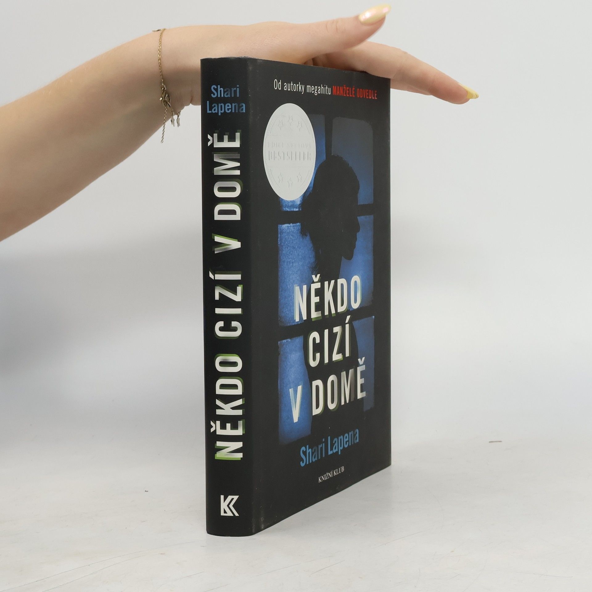 Shari Lapenová Někdo cizí v domě
