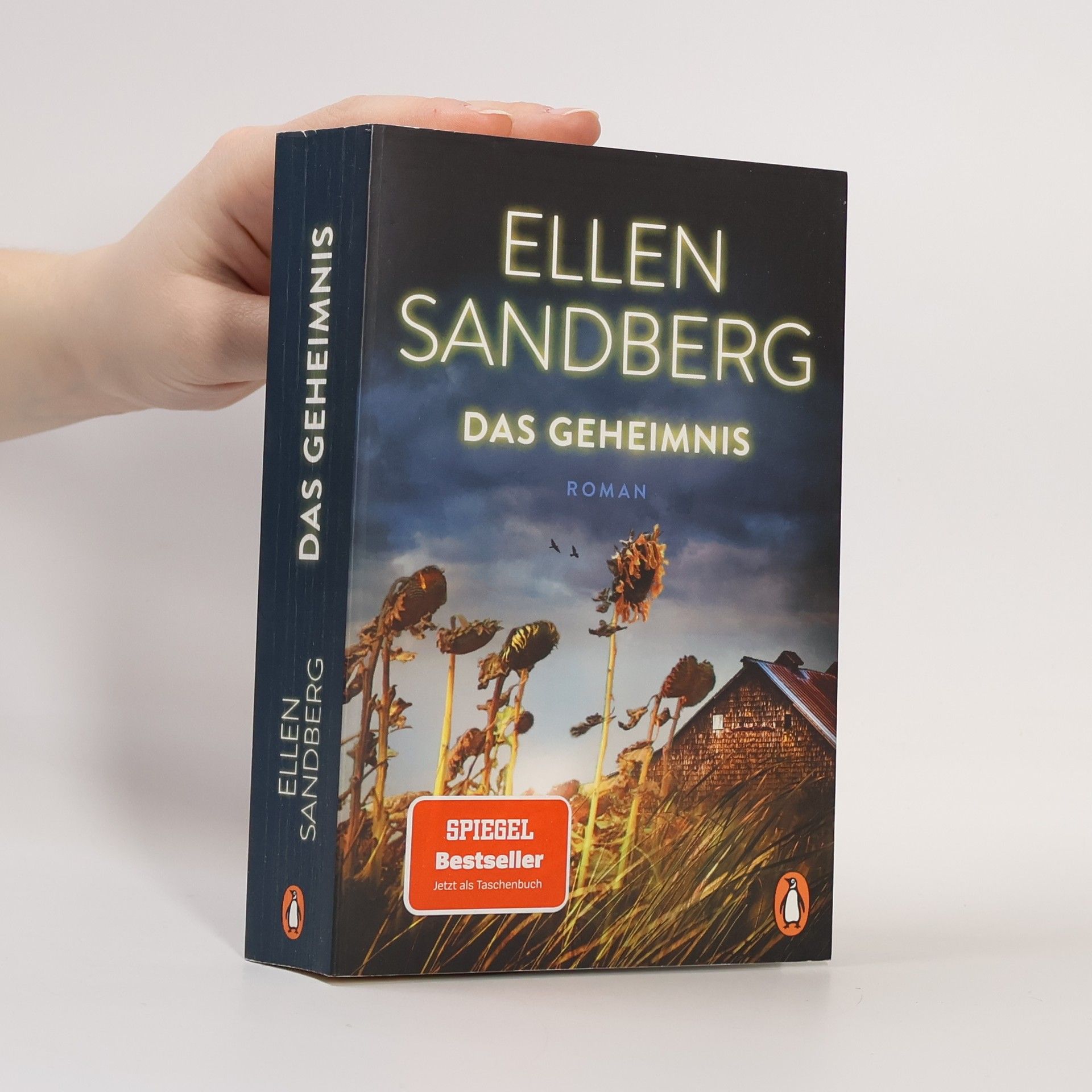 Ellen Sandberg Das Geheimnis