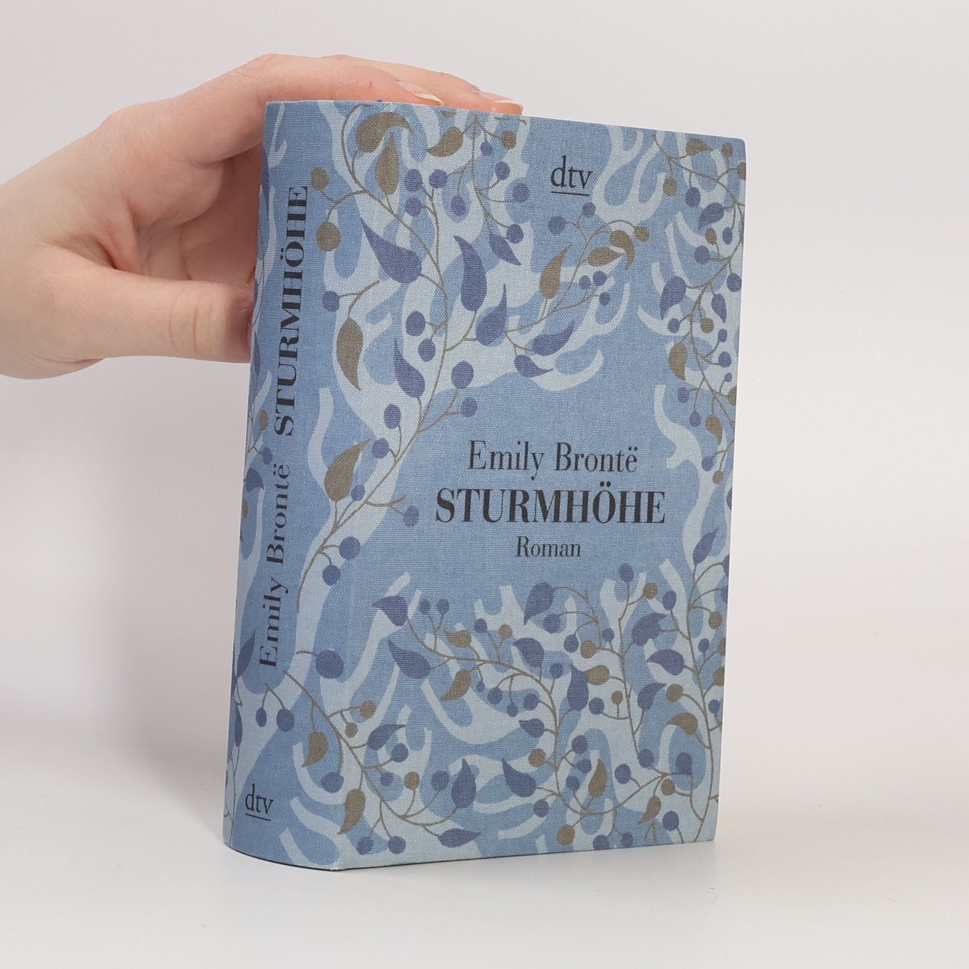 Emily Brontë Sturmhöhe