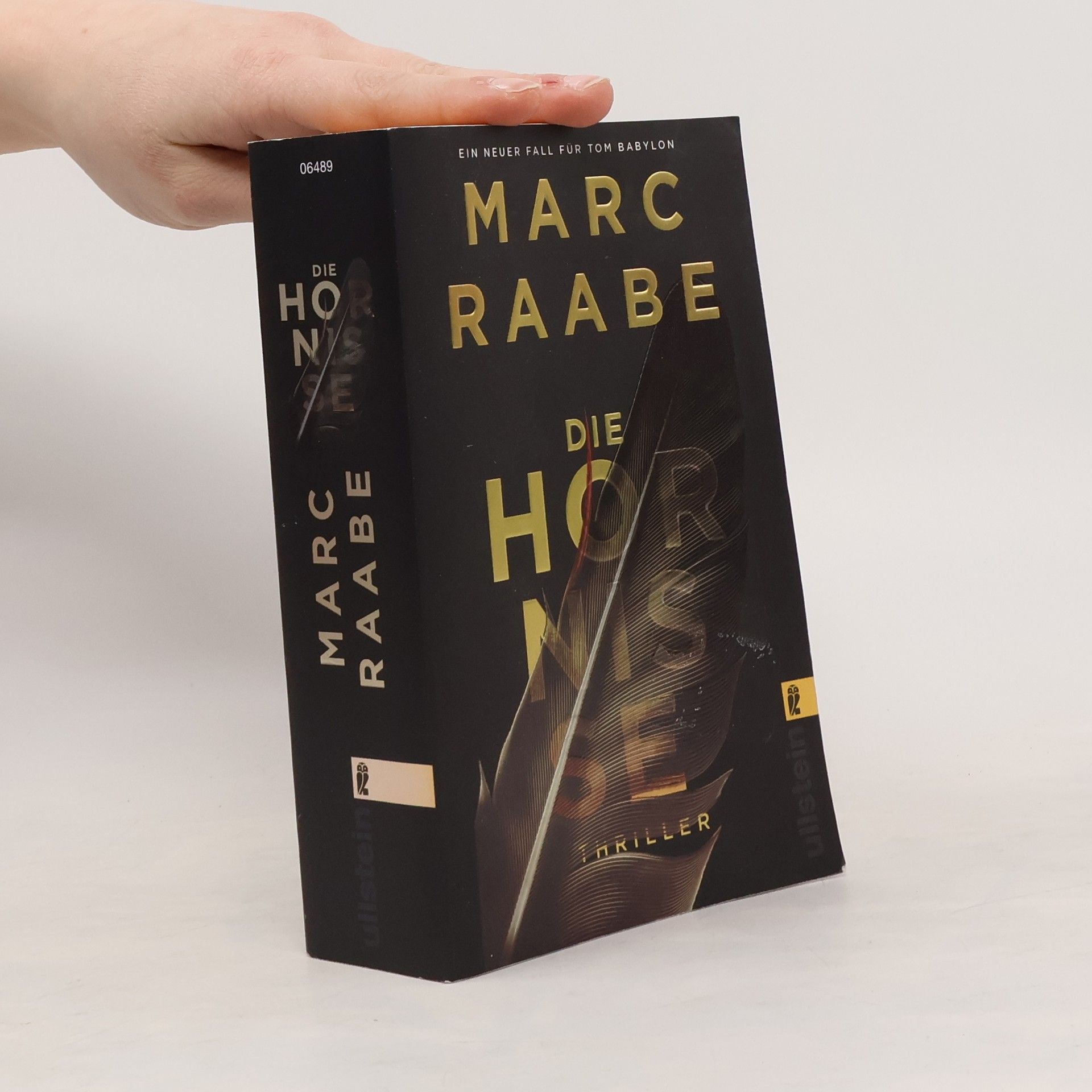 Marc Raabe Die Hornise