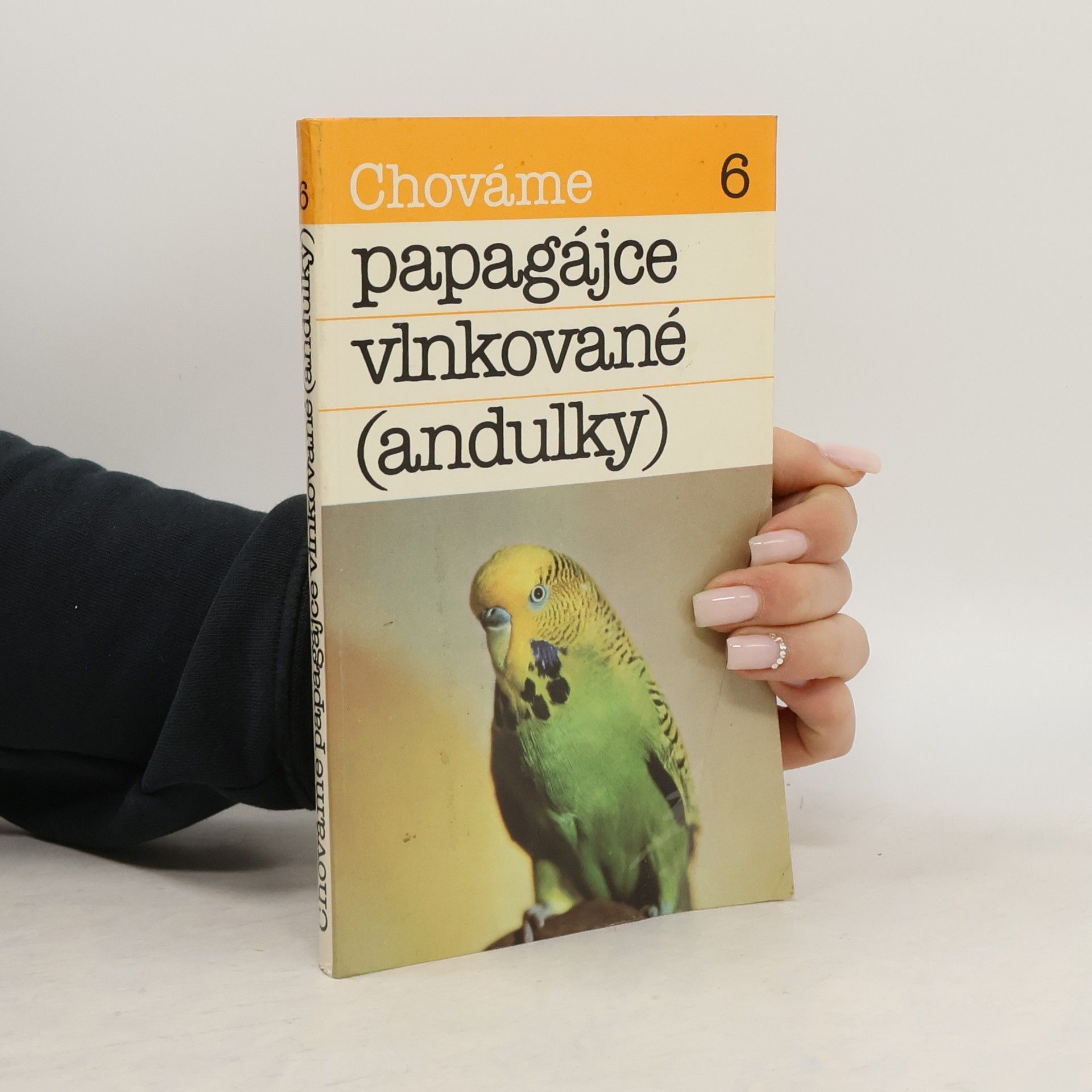 Bystrík Ambruš Chováme papagájce vlnkované (andulky)