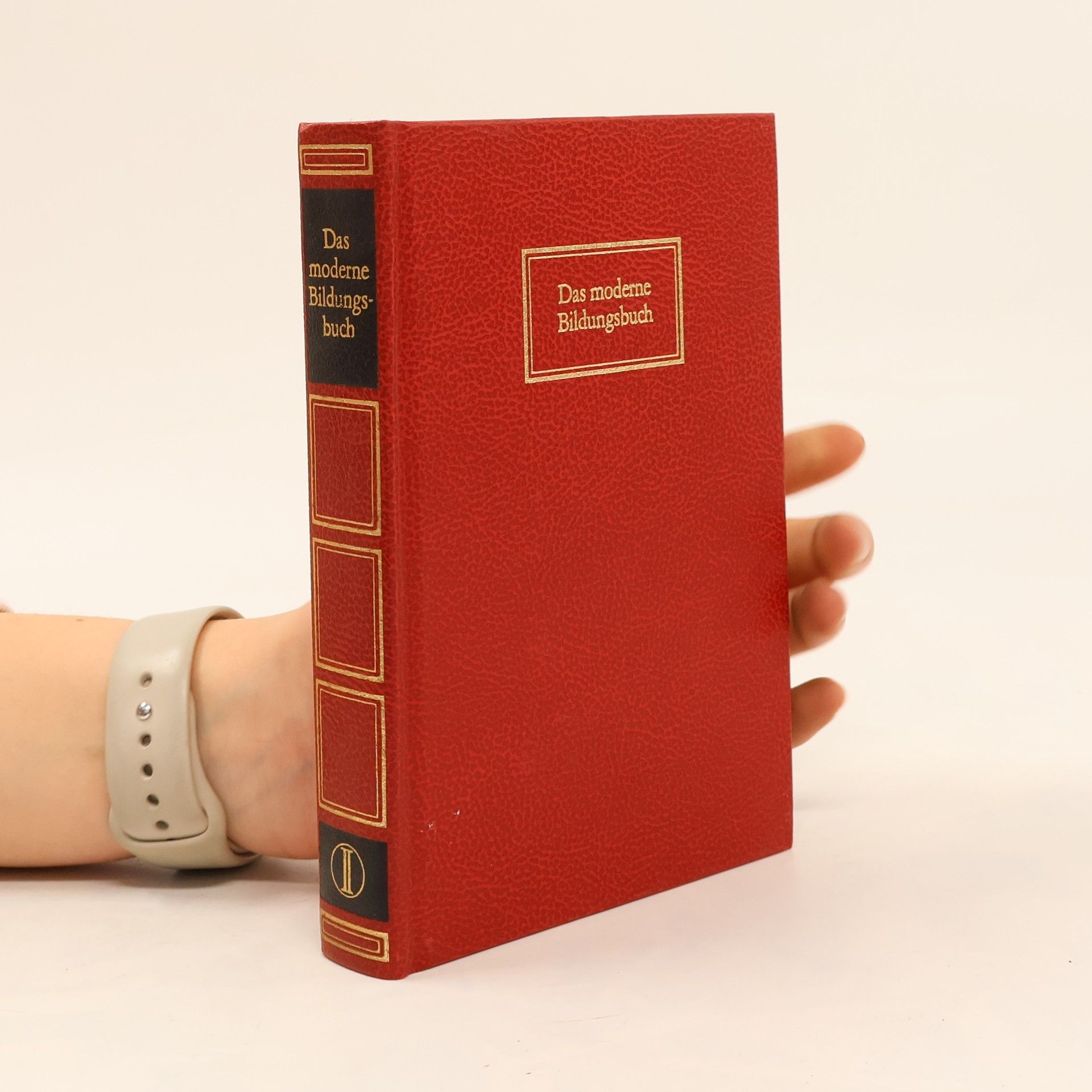 kolektiv Das moderne Bildungbuch II.