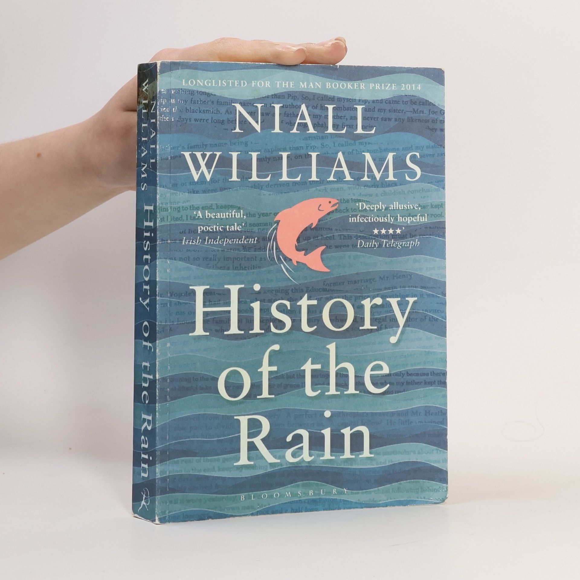 Niall Williams History of the rain