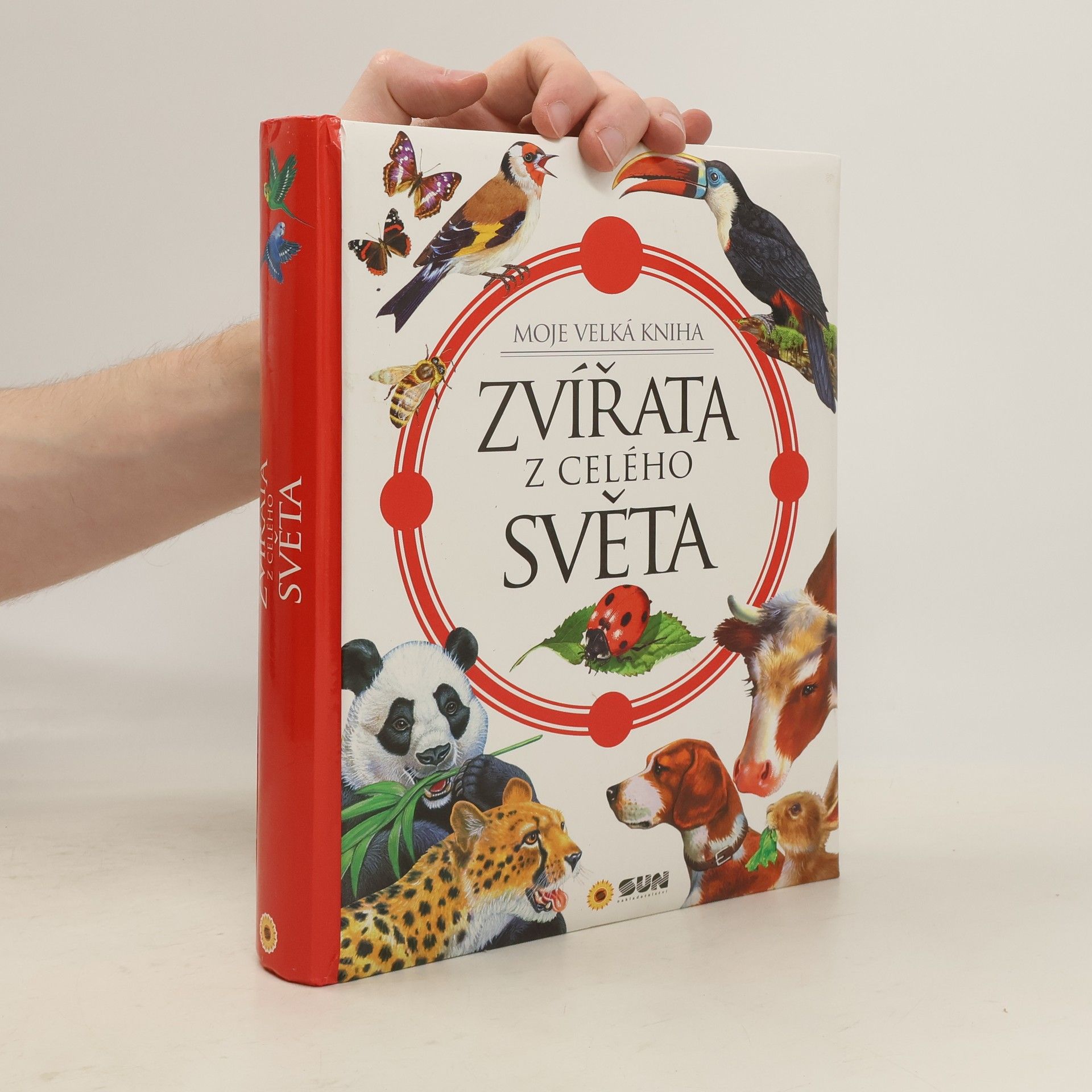 Francisca Valiente Zvířata z celého světa : moje velká kniha