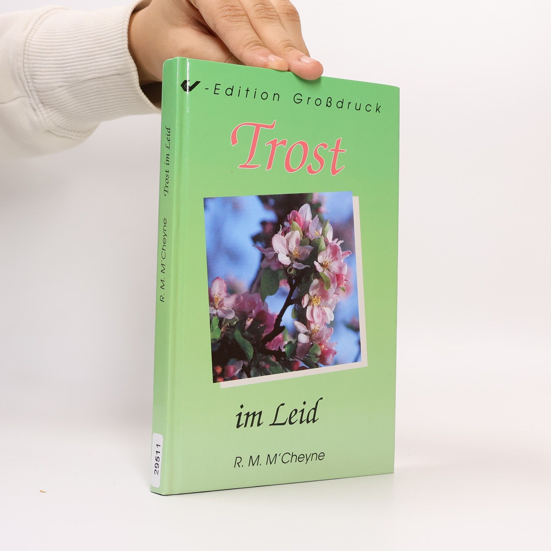 Trost im Leid - Edition Großdruck