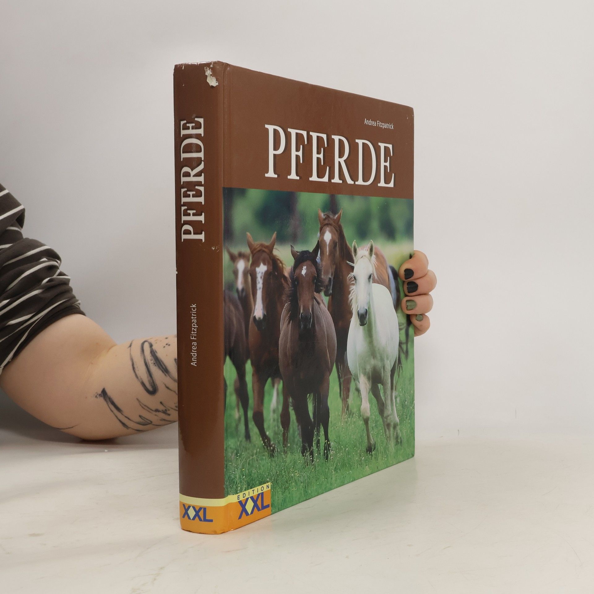 Andrea Fitzpatrick Pferde