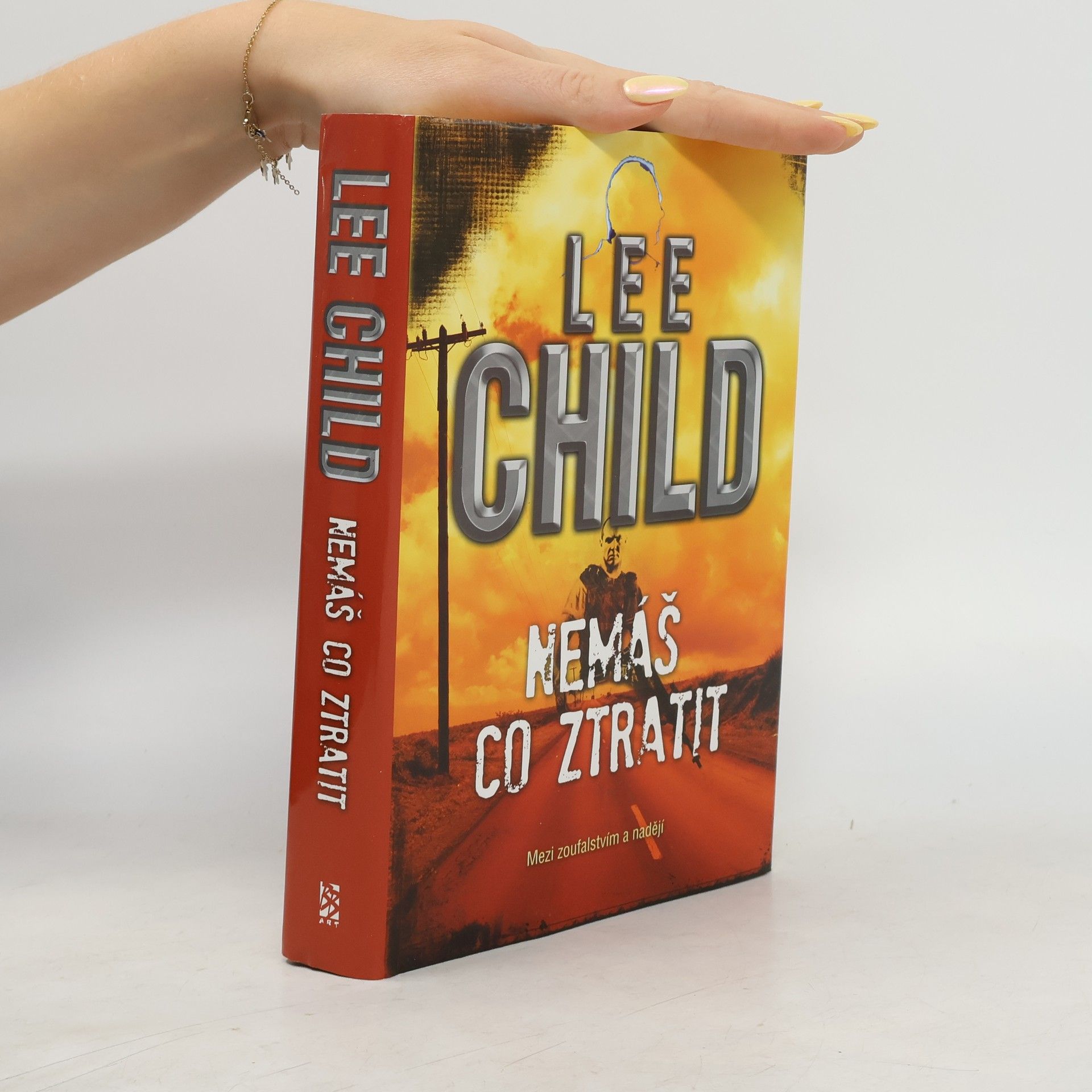 Lee Child Nemáš co ztratit